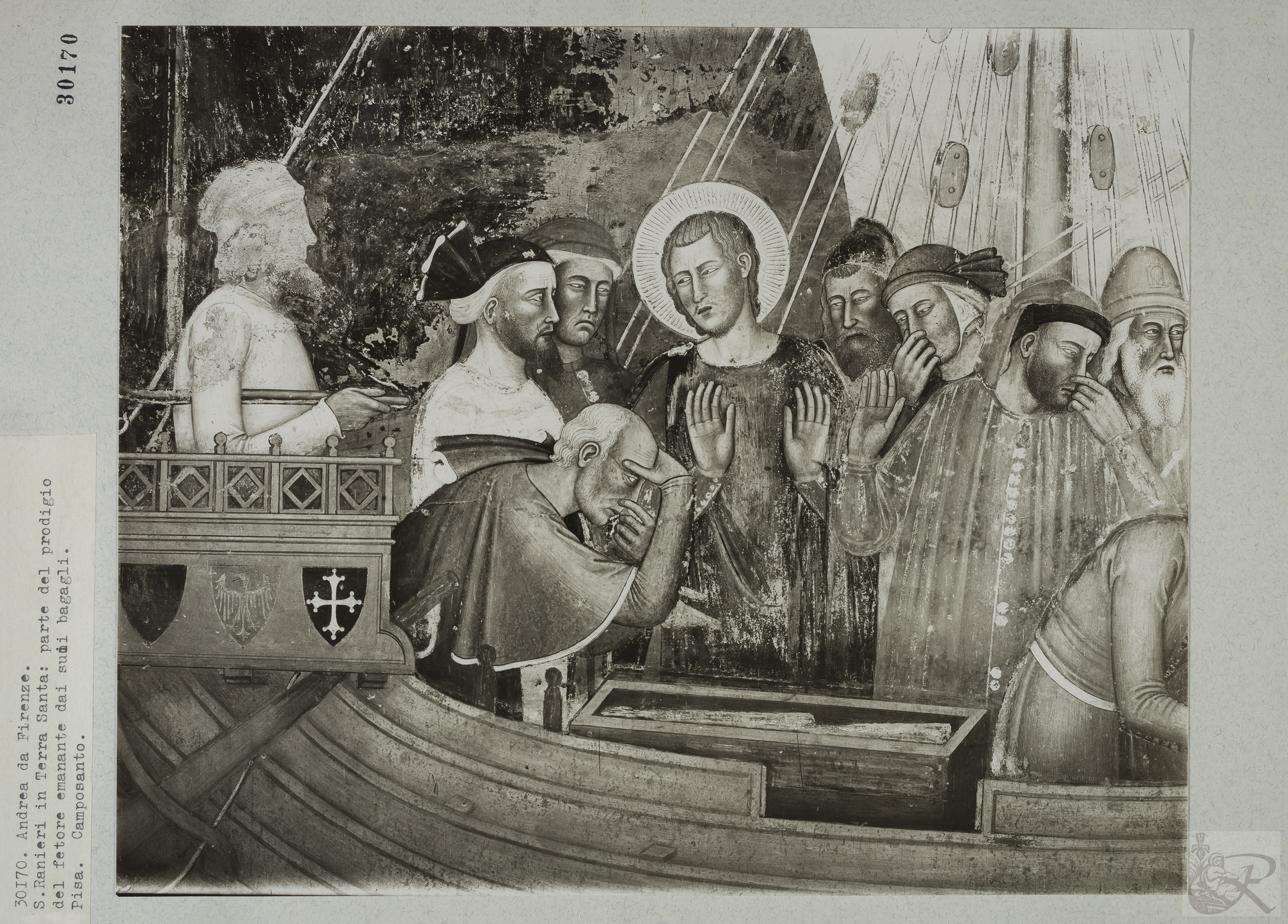 Immagine di anteprima