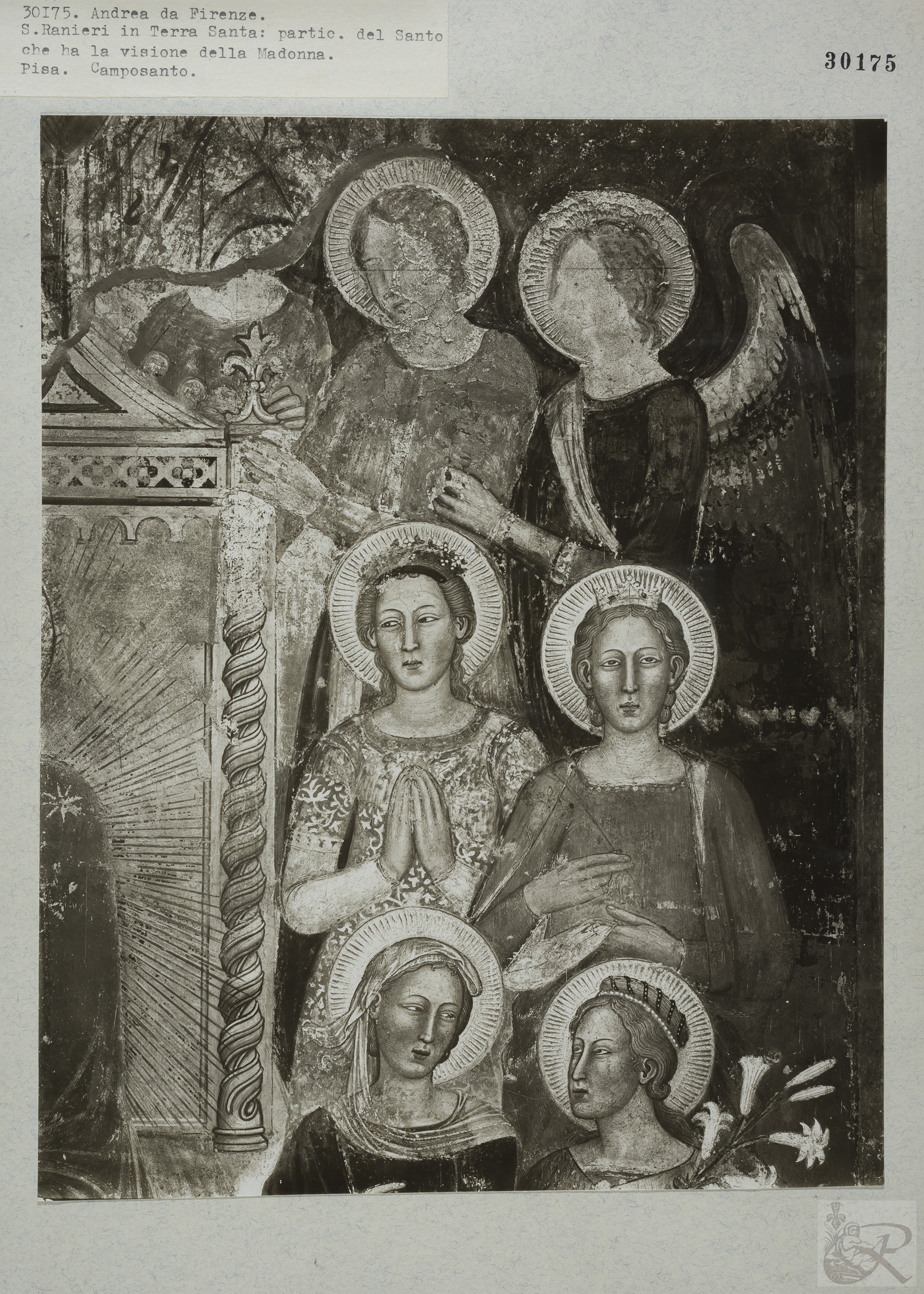 Immagine di anteprima