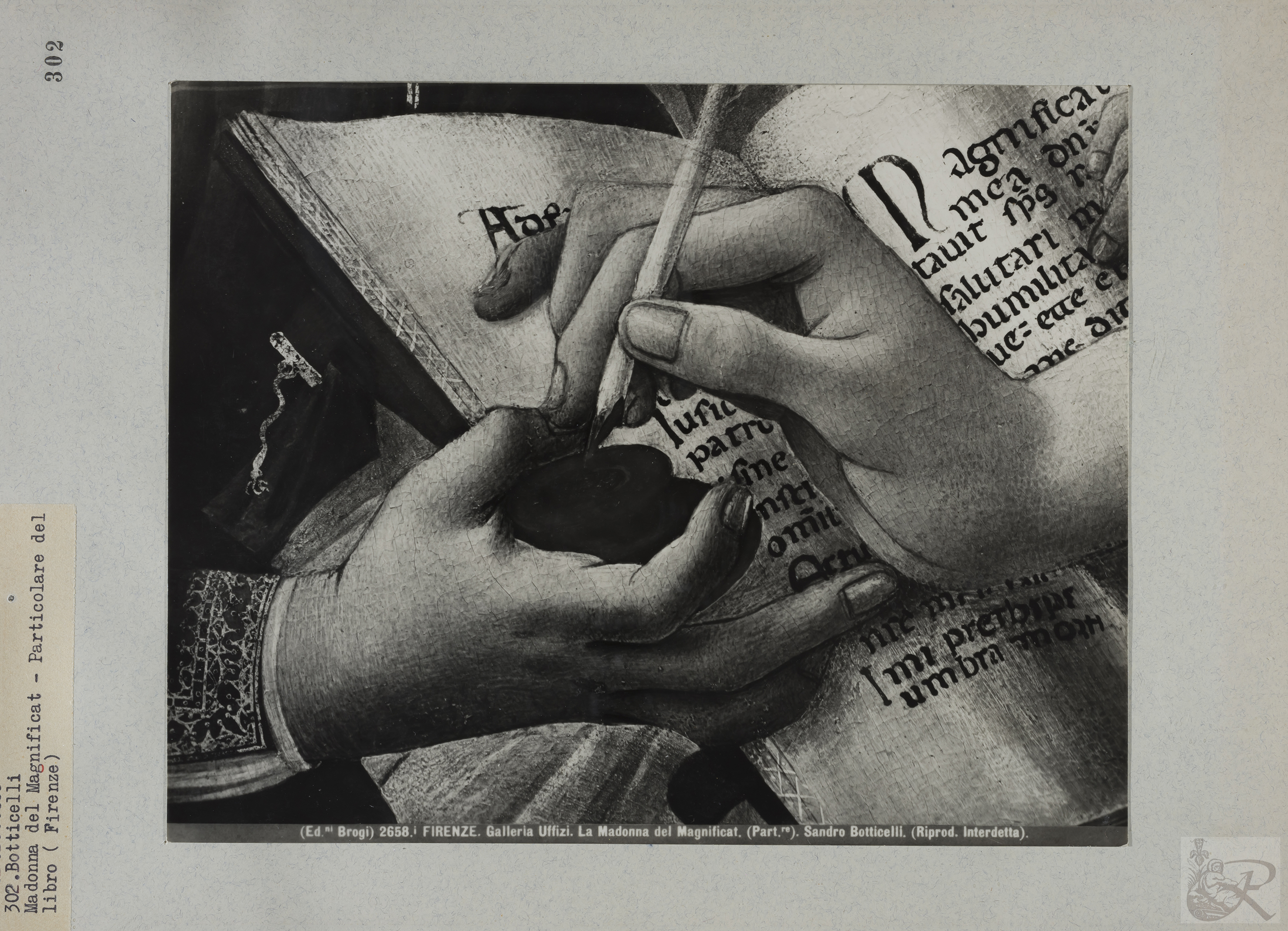 Immagine di anteprima