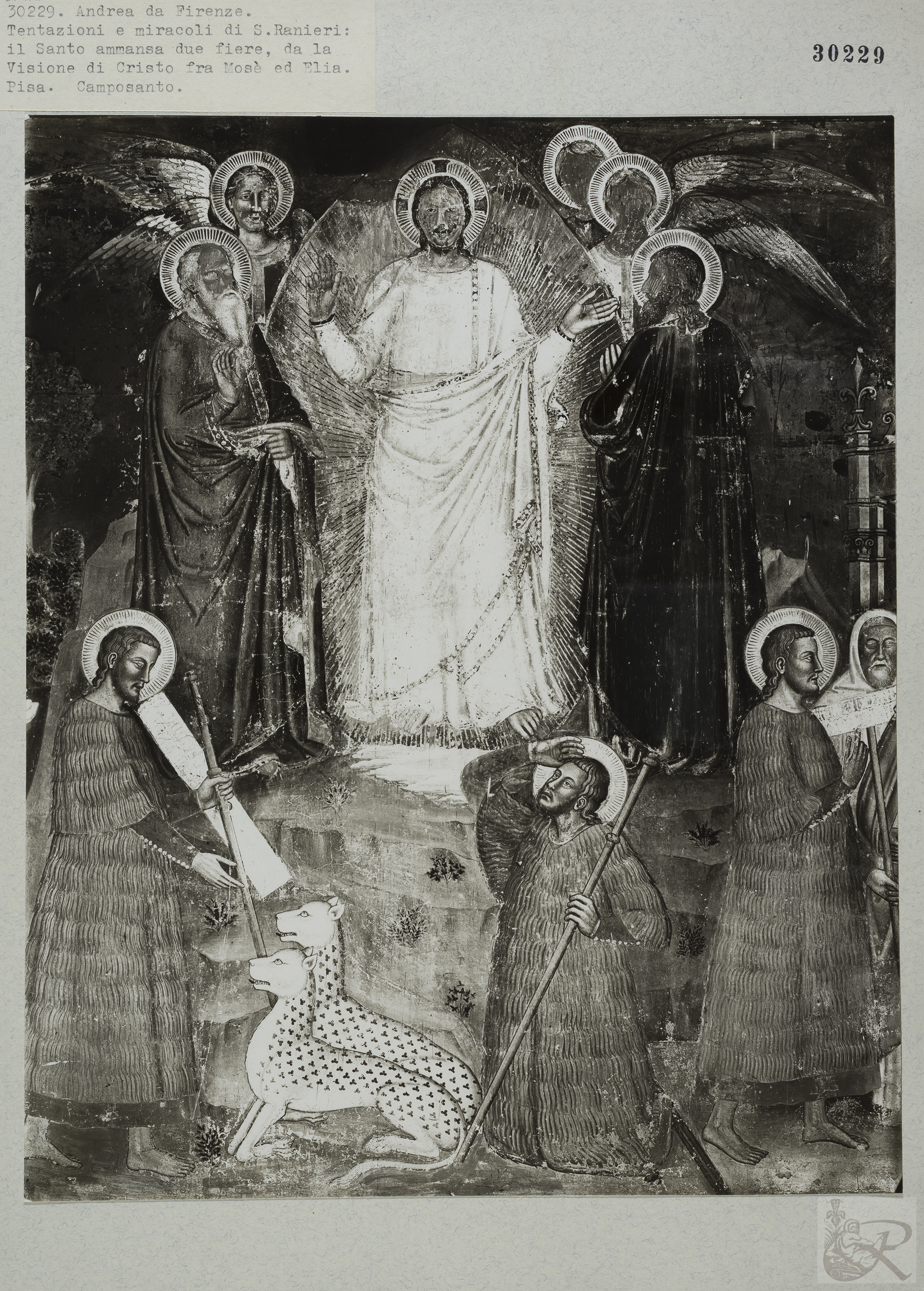 Immagine di anteprima