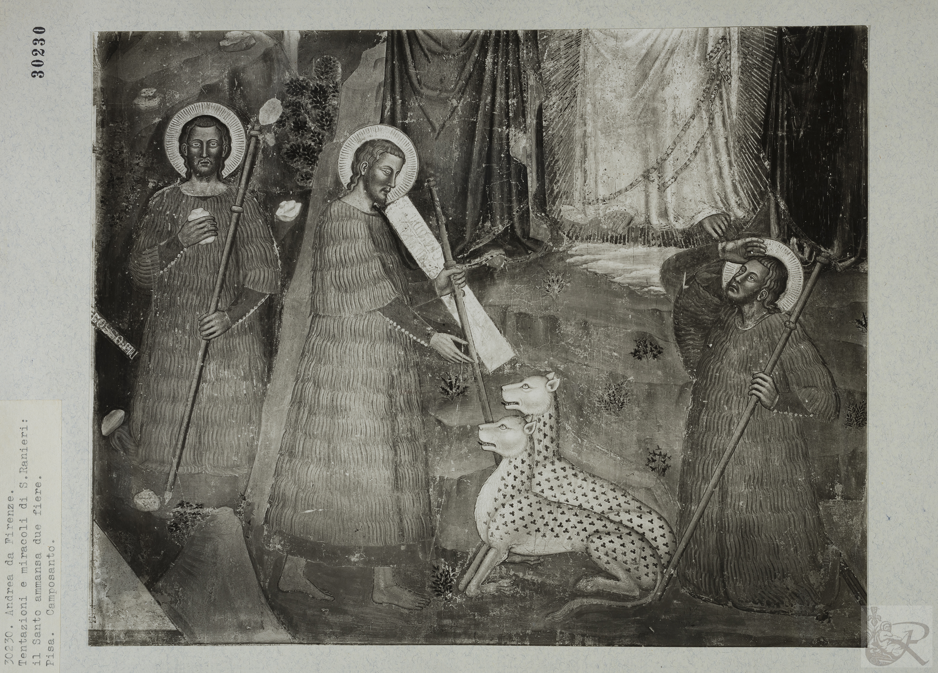 Immagine di anteprima