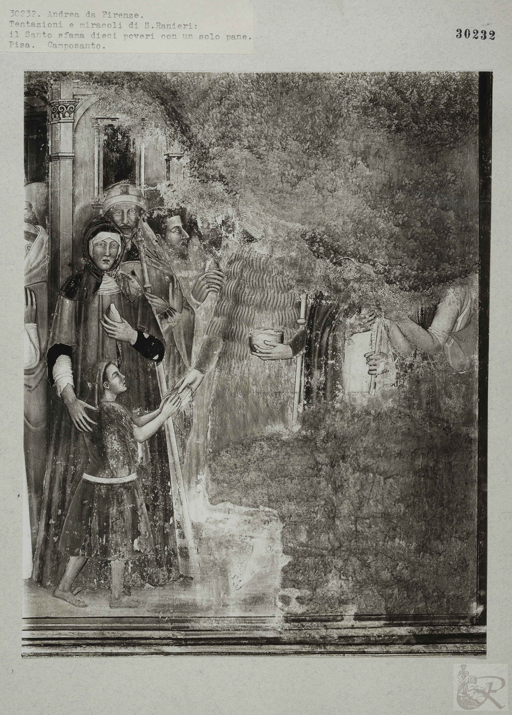 Immagine di anteprima