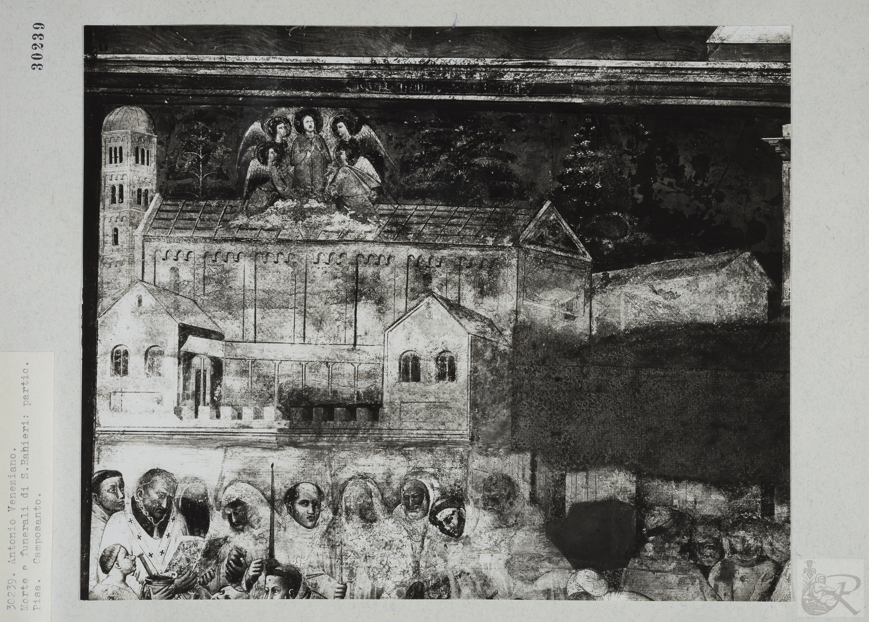 Immagine di anteprima