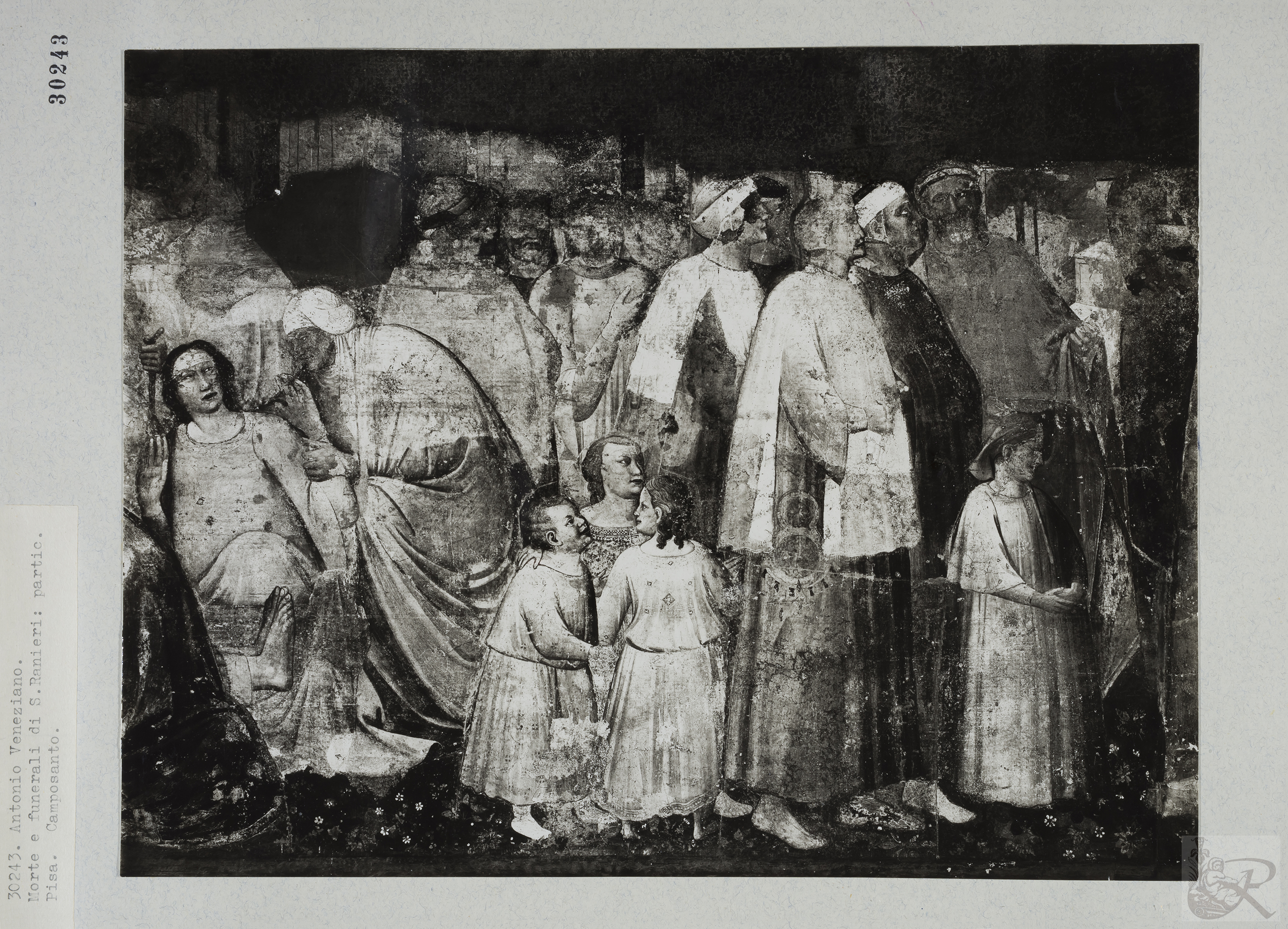 Immagine di anteprima