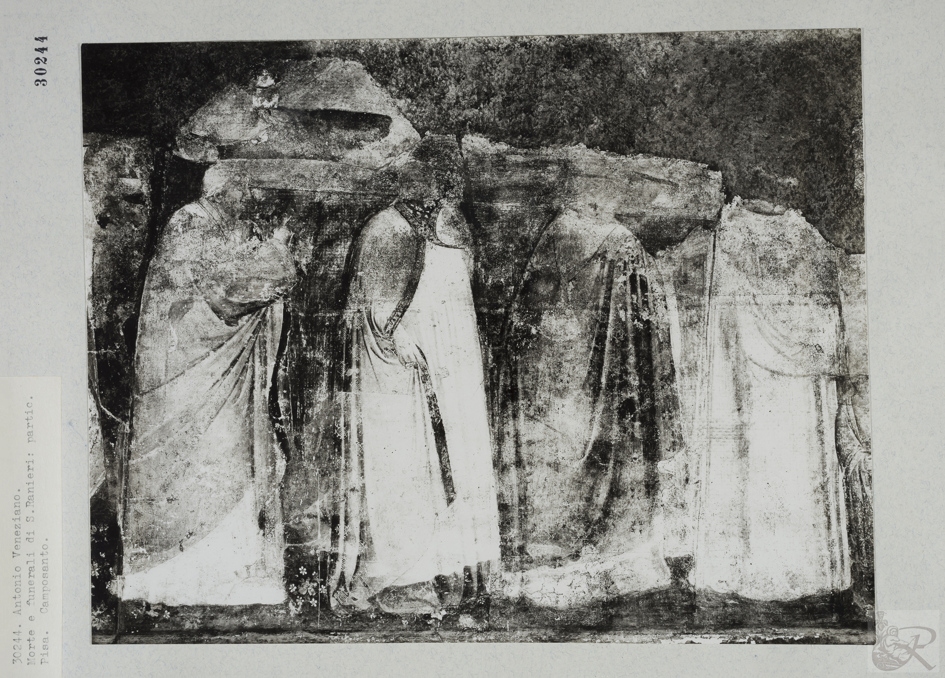 Immagine di anteprima