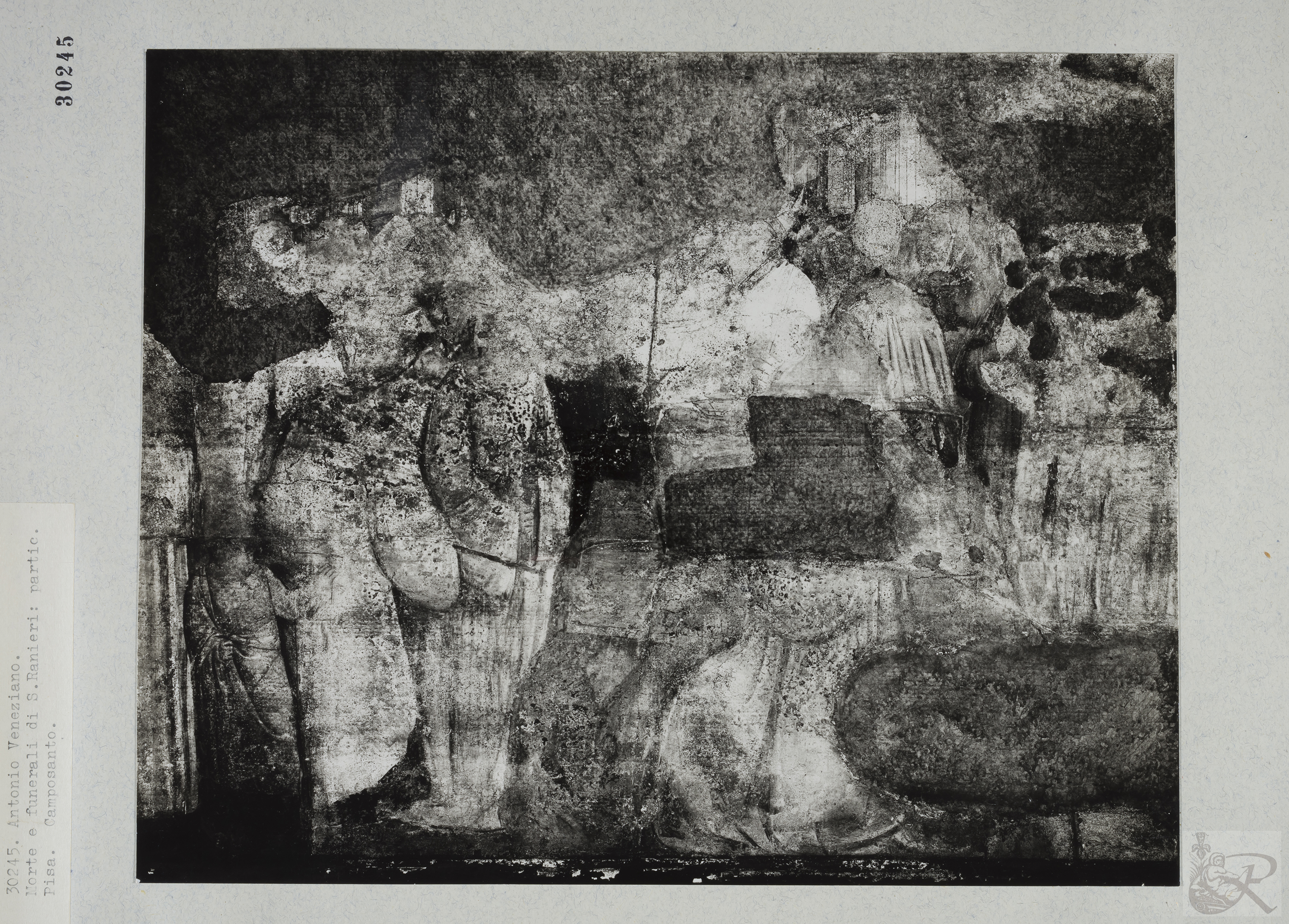 Immagine di anteprima