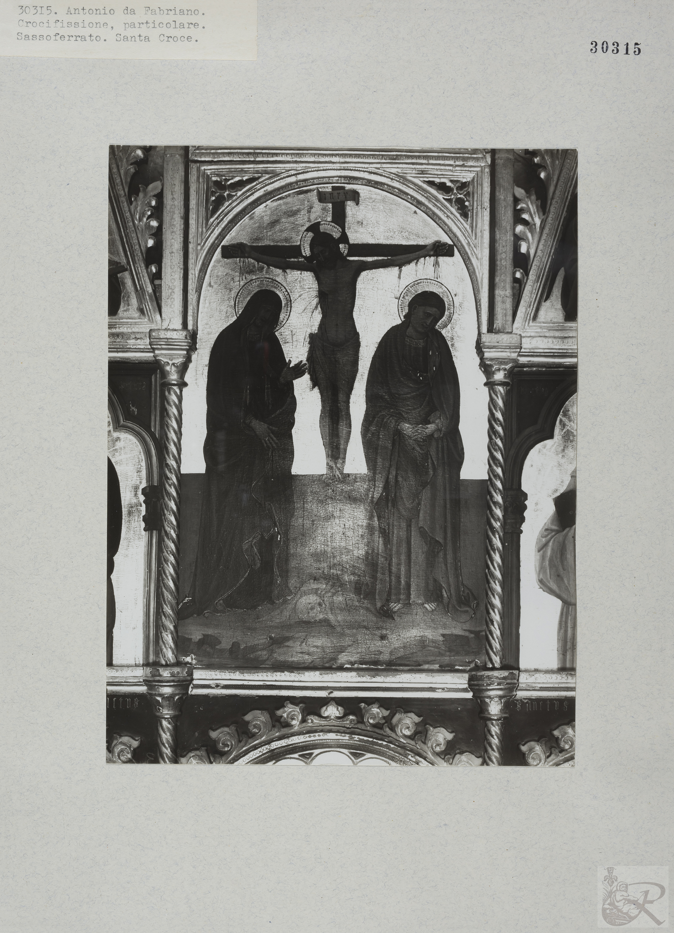 Immagine di anteprima