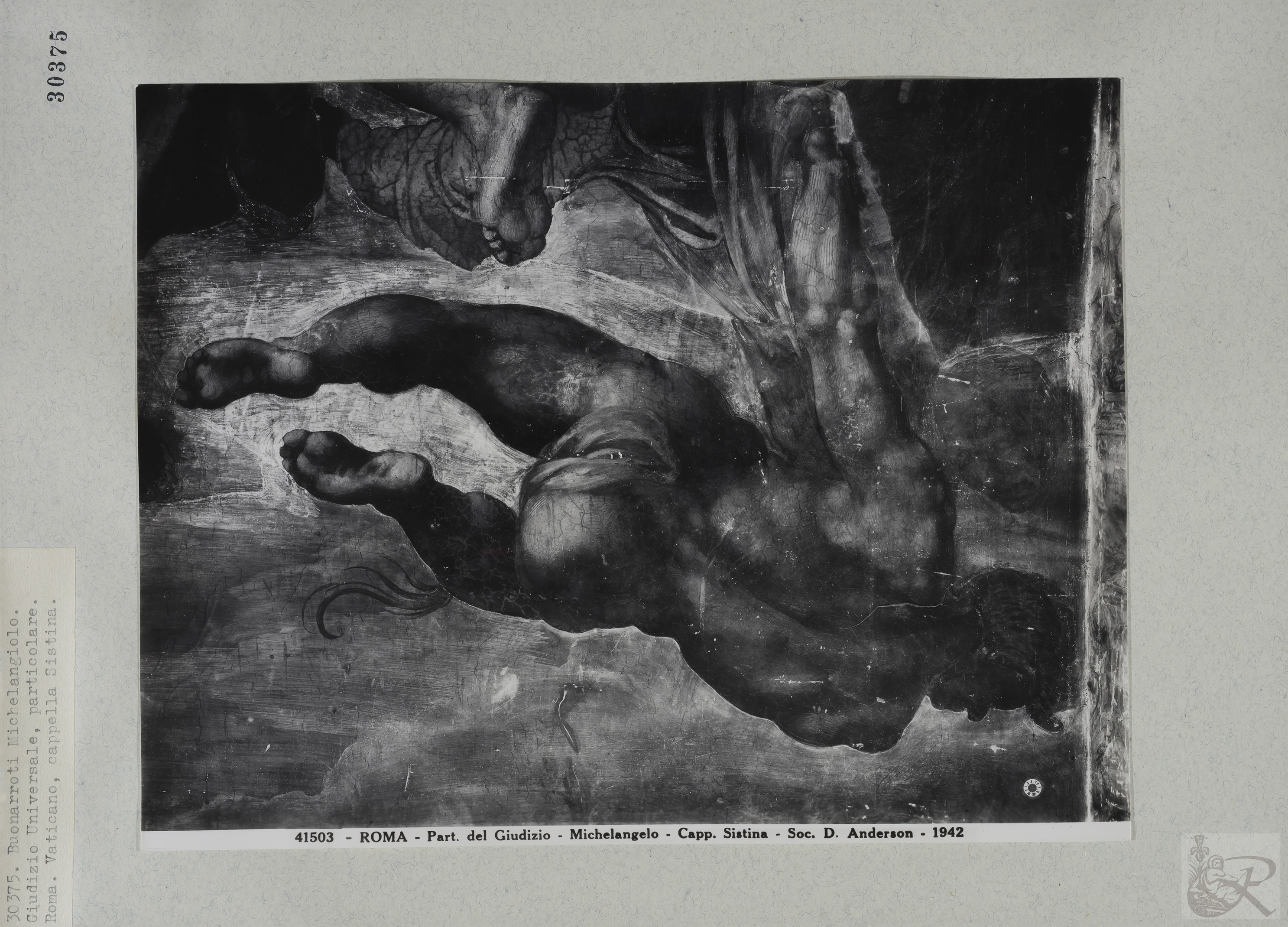 Immagine di anteprima