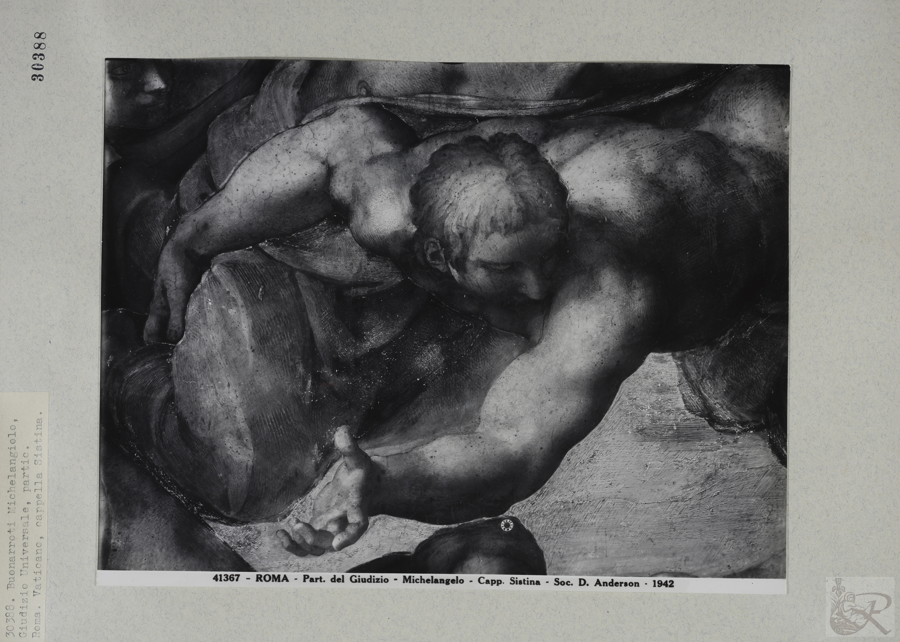 Immagine di anteprima