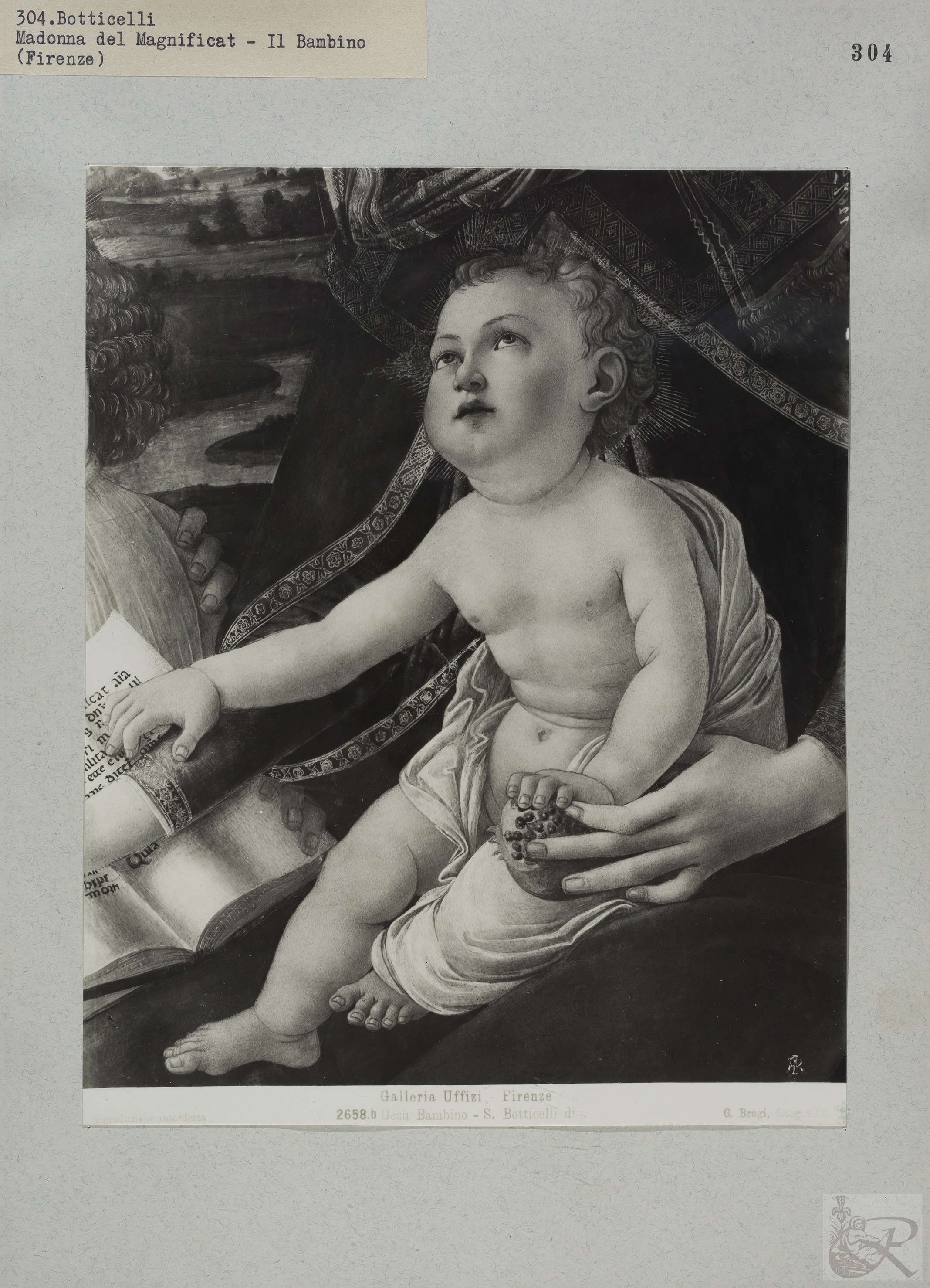 Immagine di anteprima