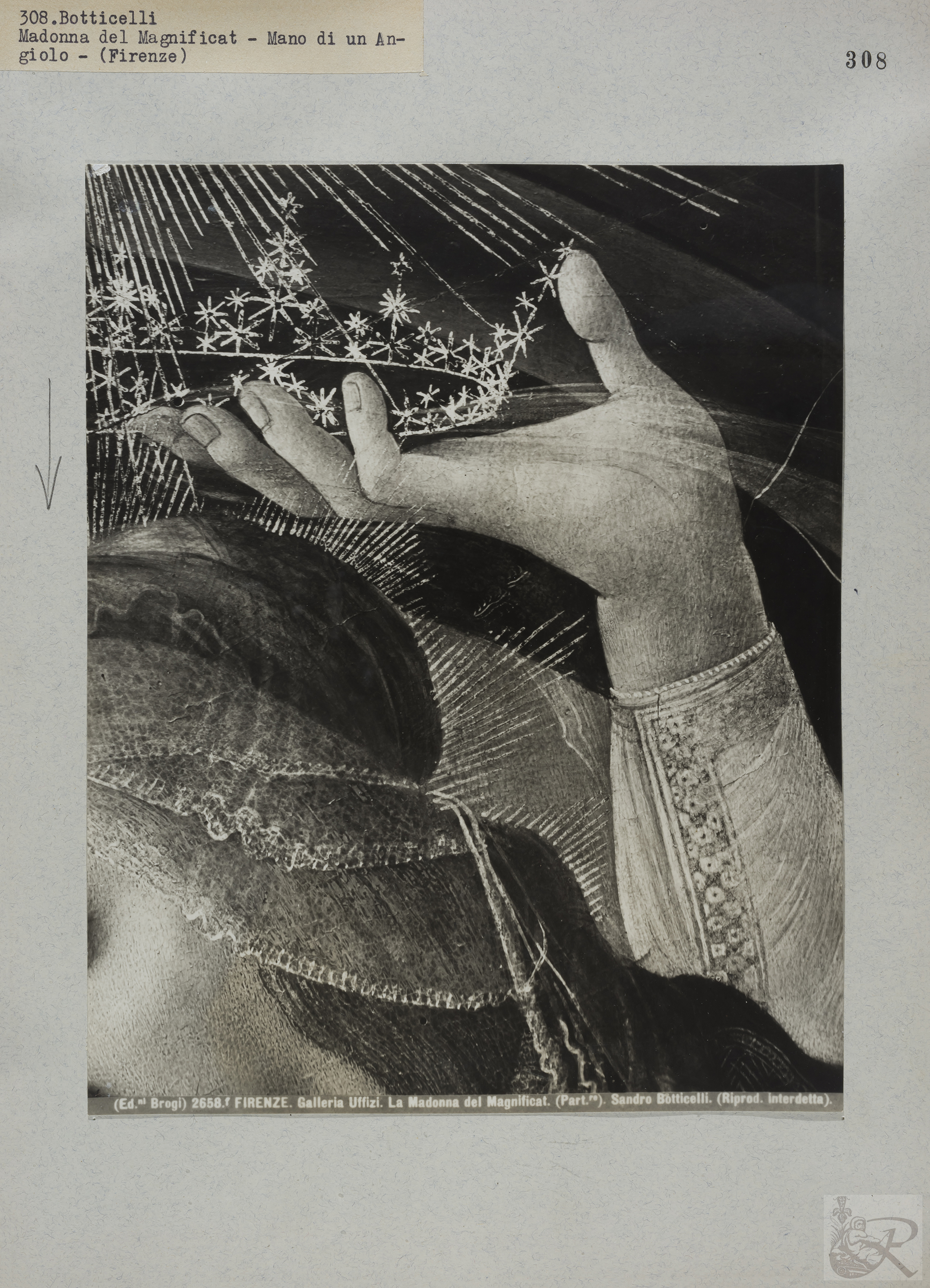 Immagine di anteprima