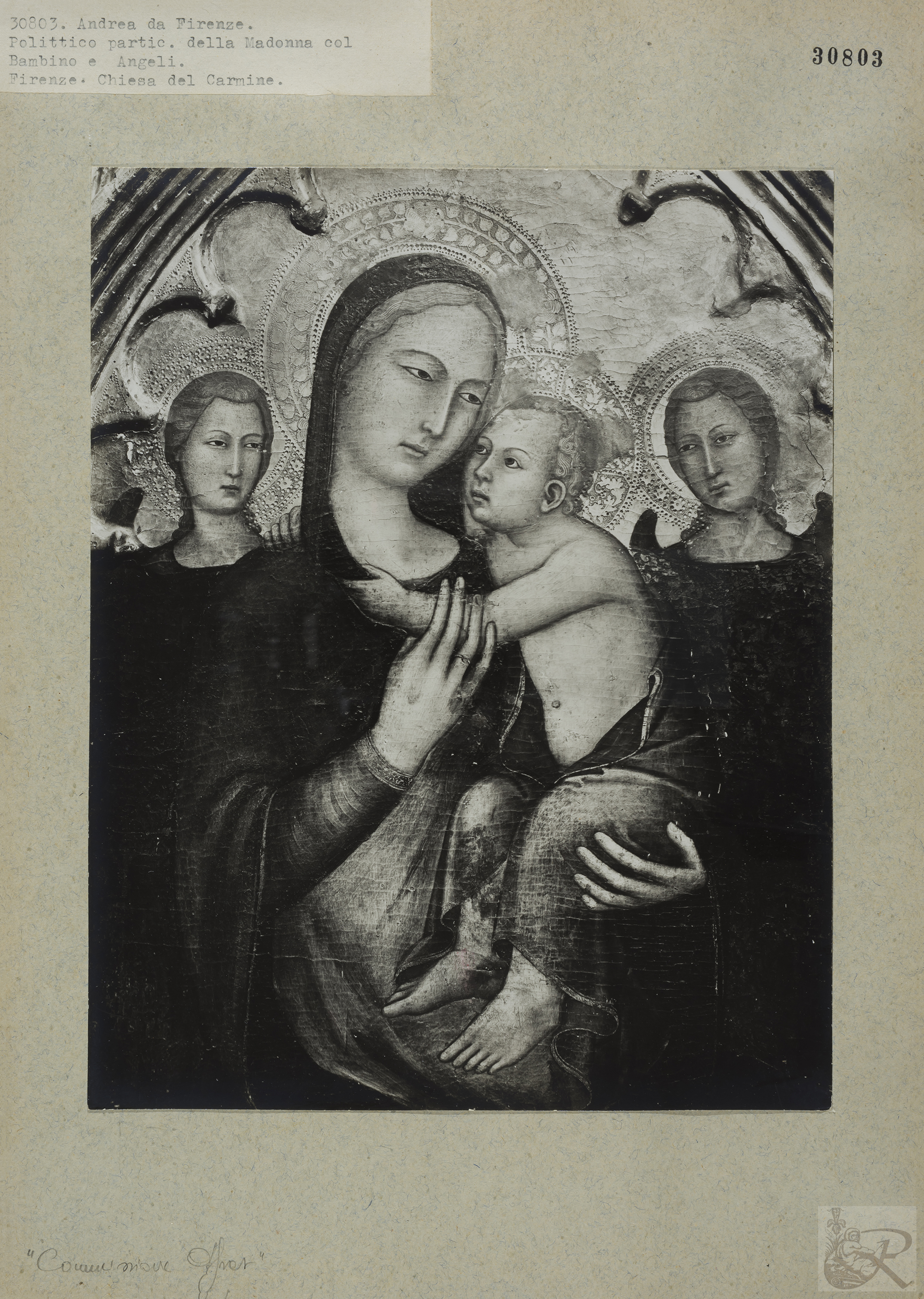 Immagine di anteprima