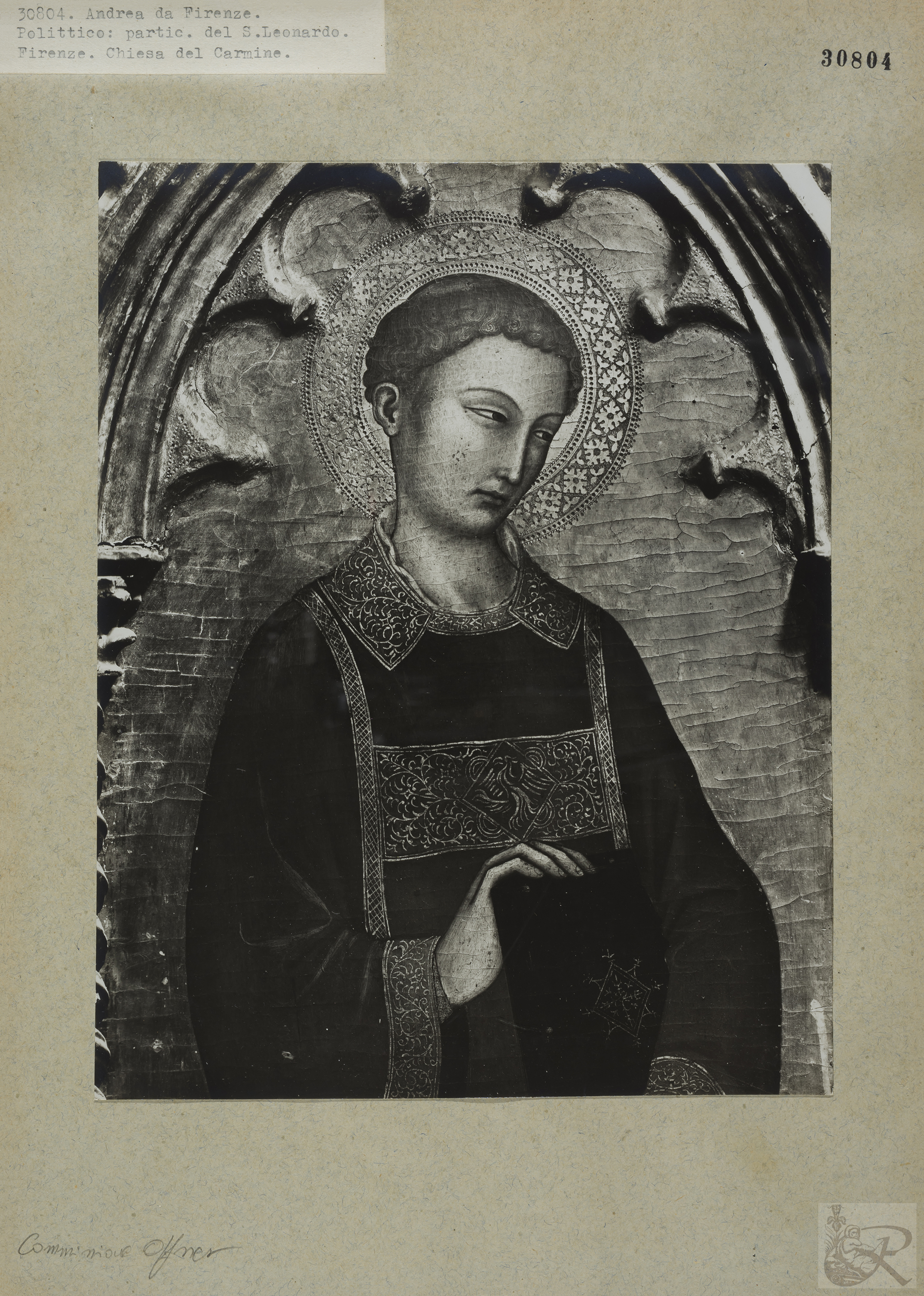 Immagine di anteprima