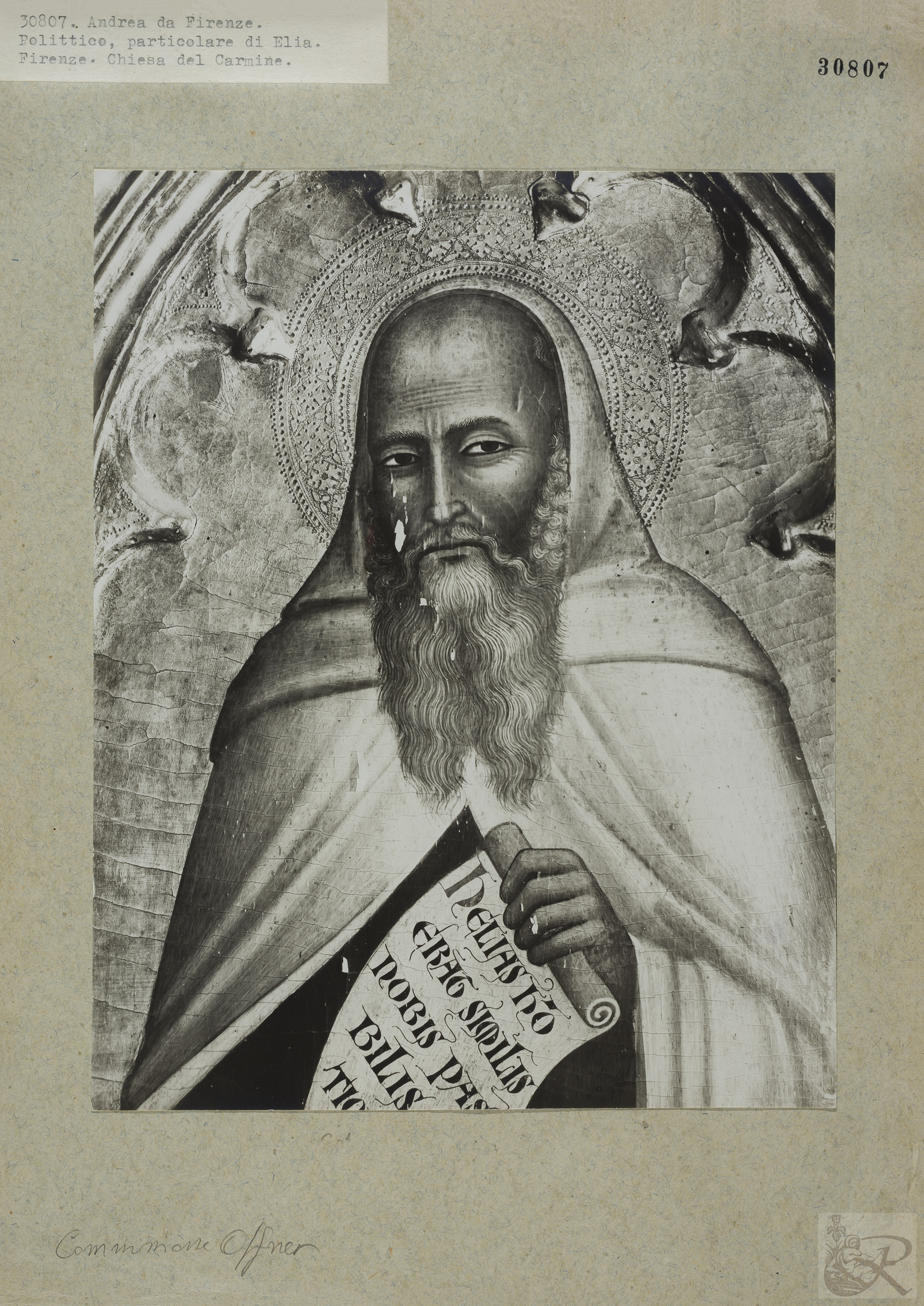 Immagine di anteprima