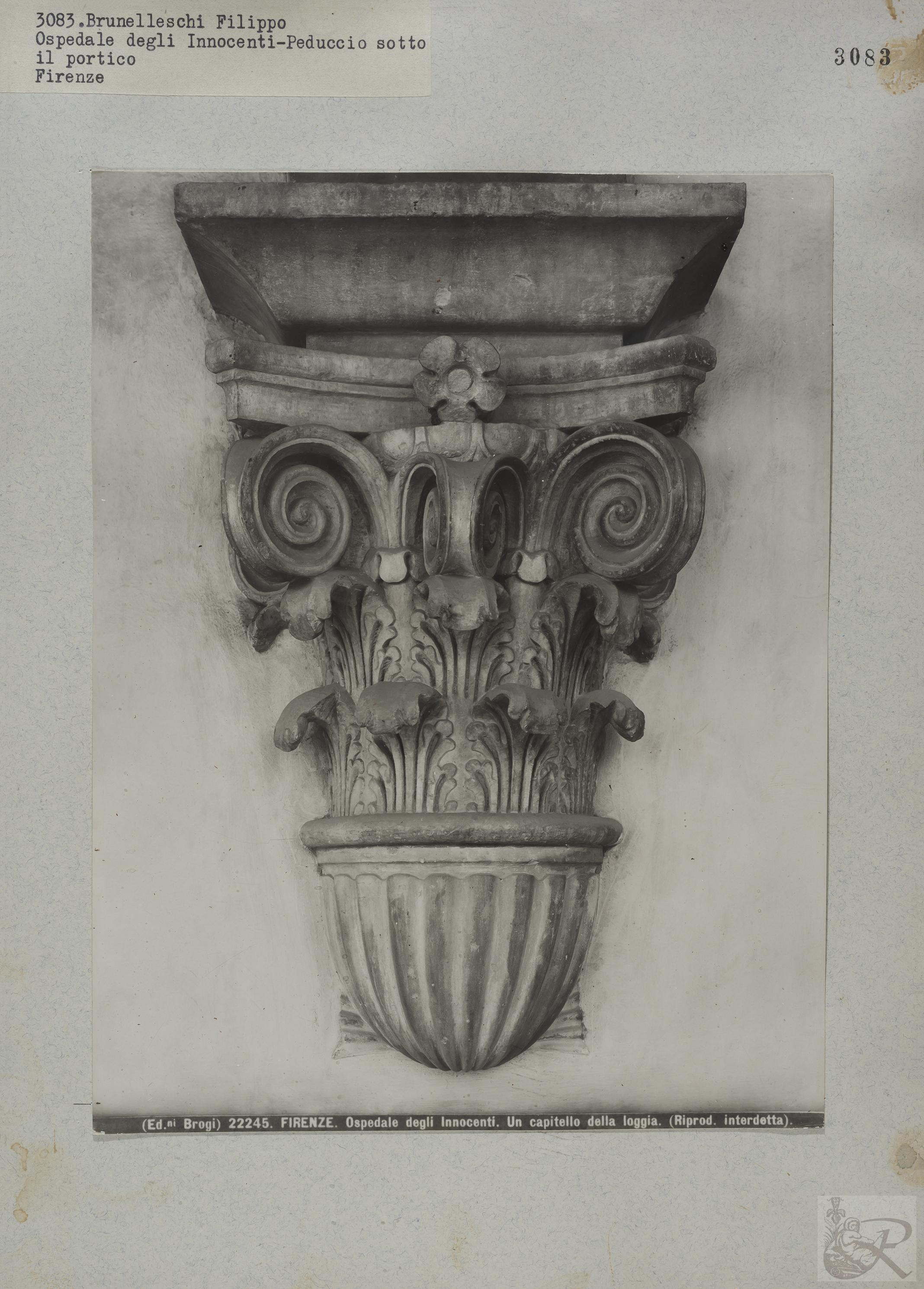 Immagine di anteprima