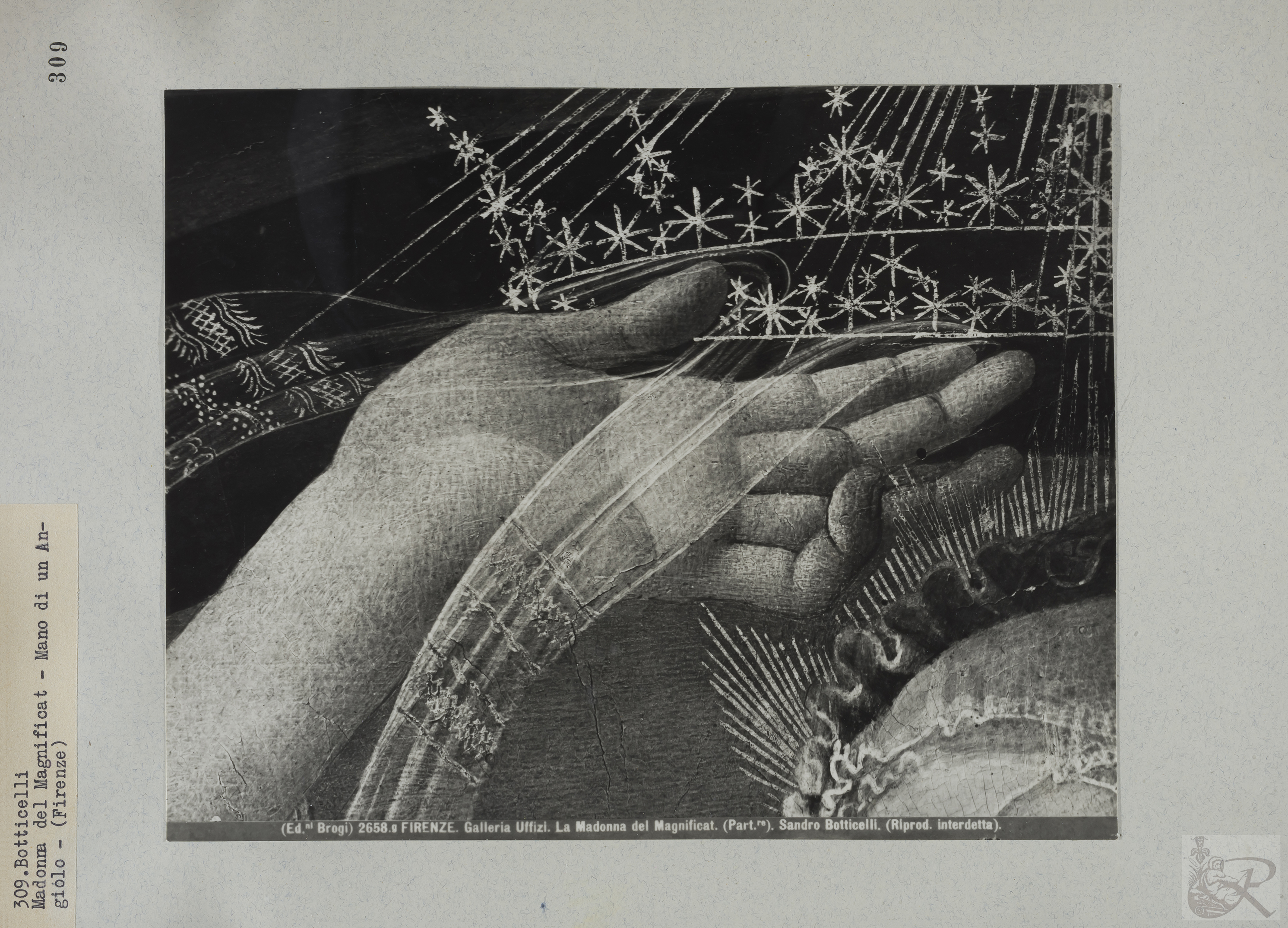 Immagine di anteprima