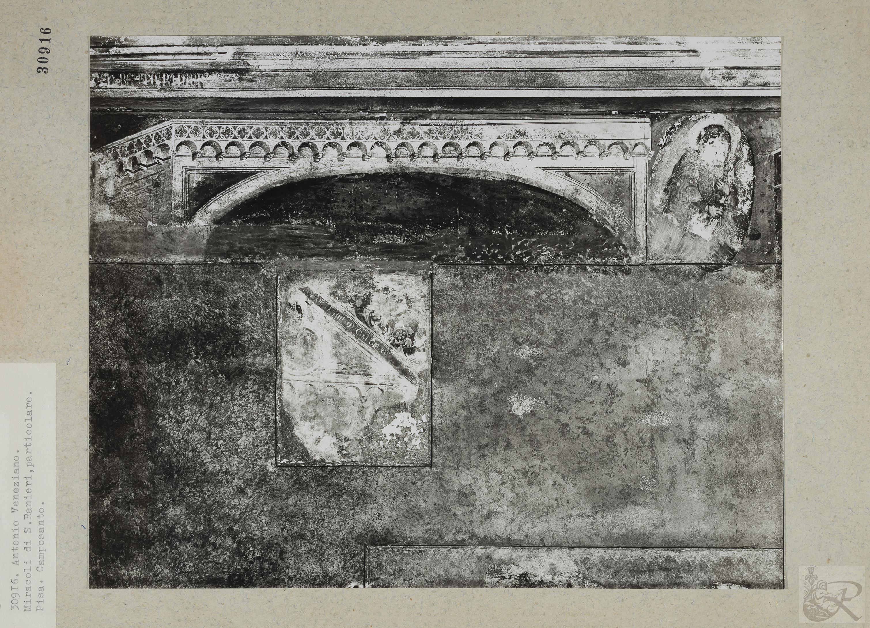 Immagine di anteprima