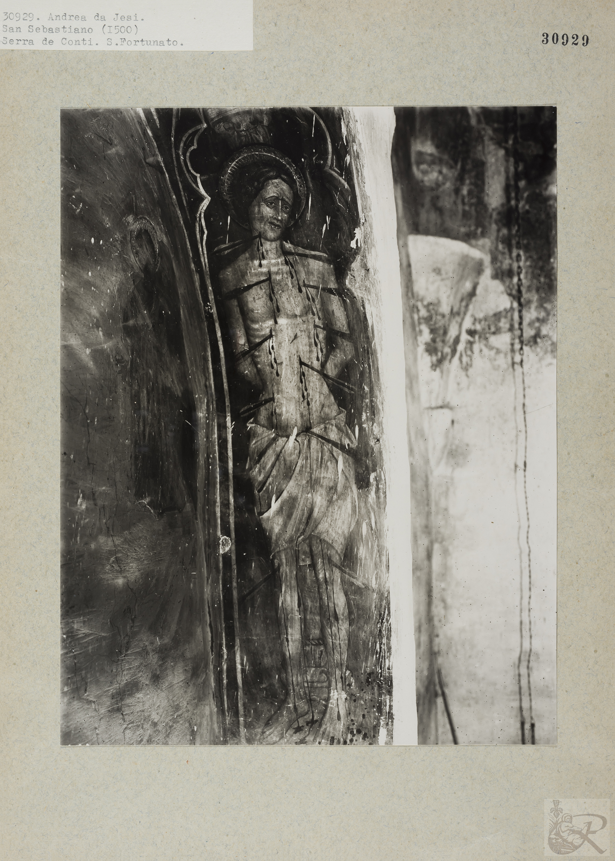 Immagine di anteprima