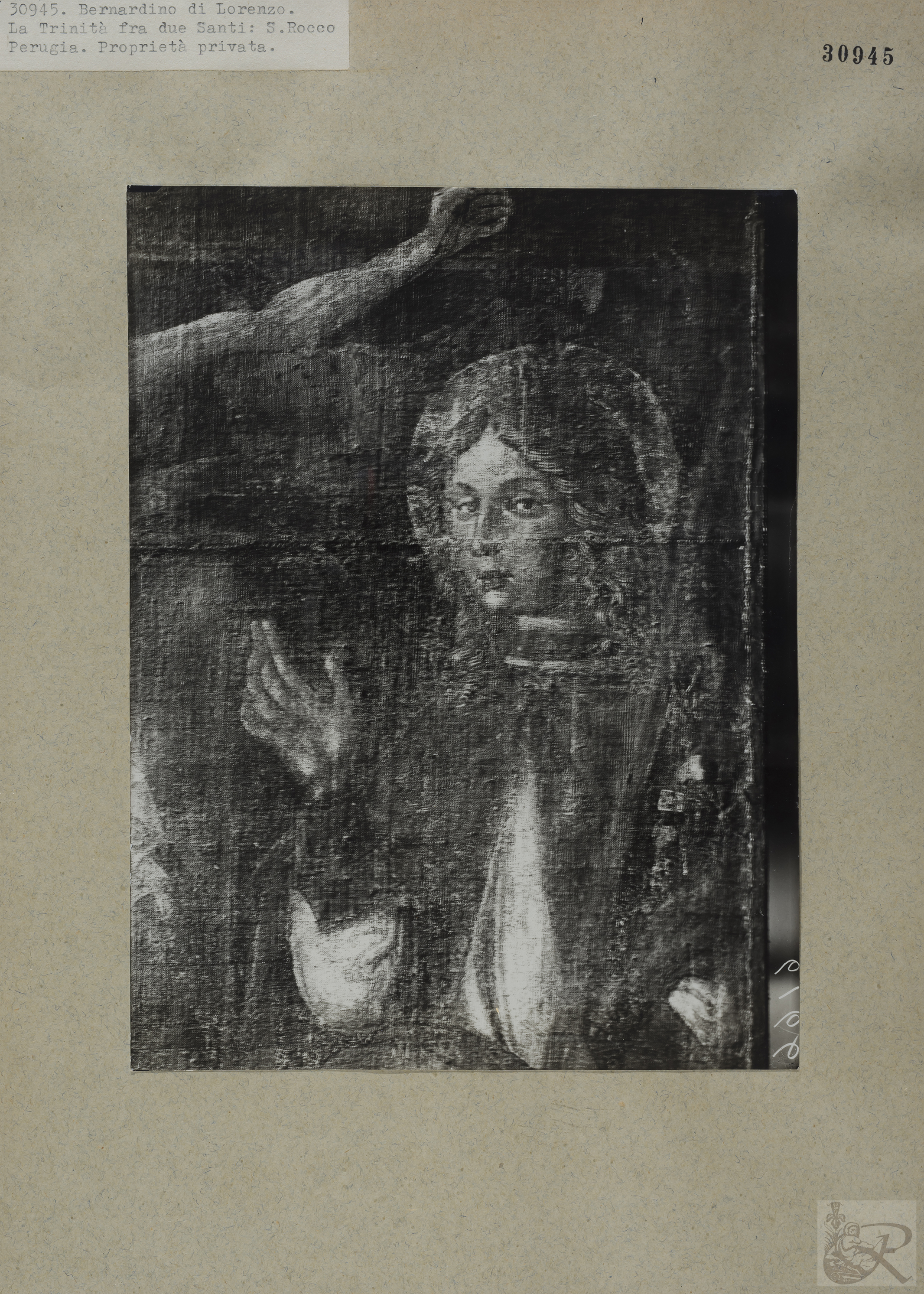 Immagine di anteprima