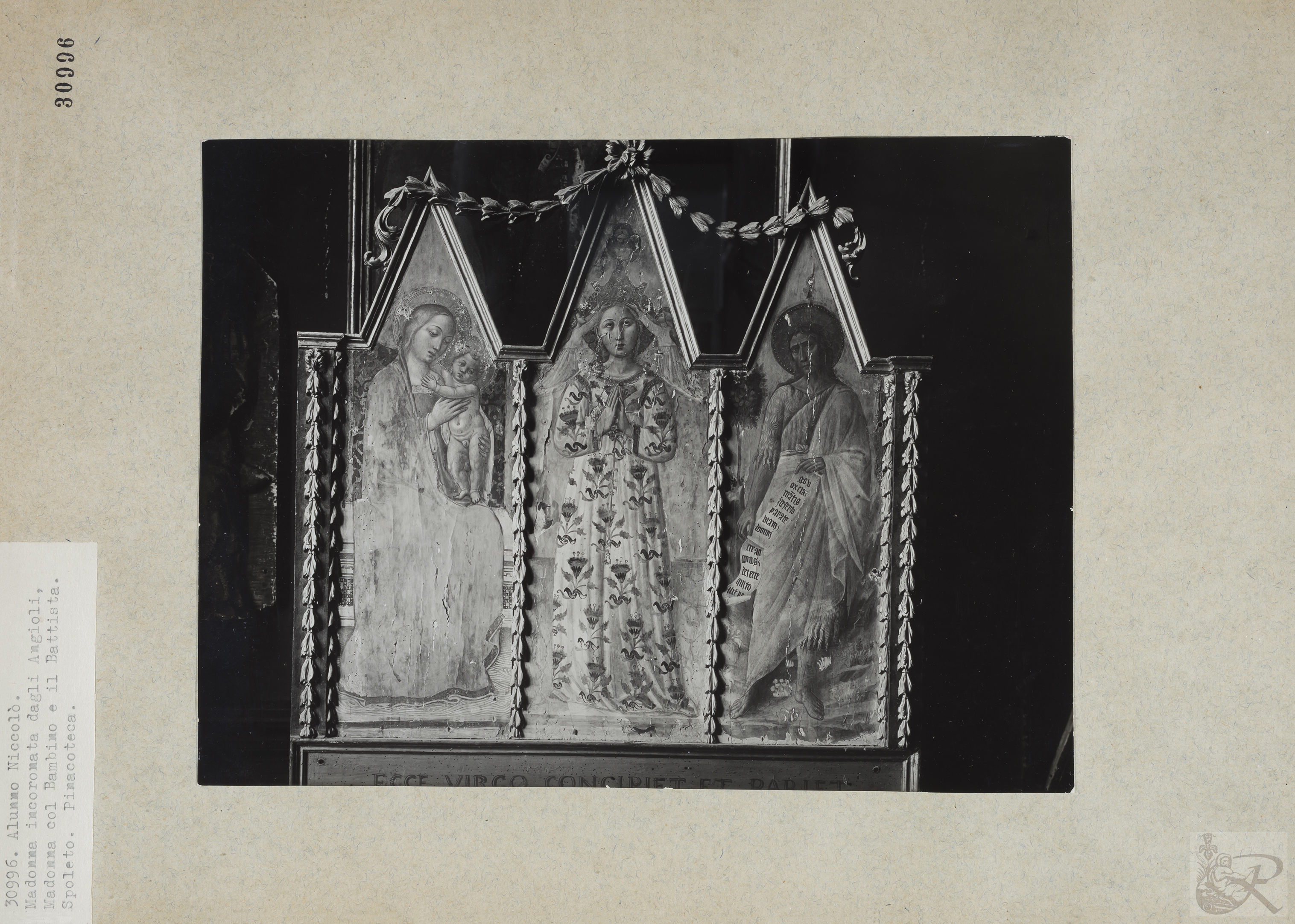 Immagine di anteprima