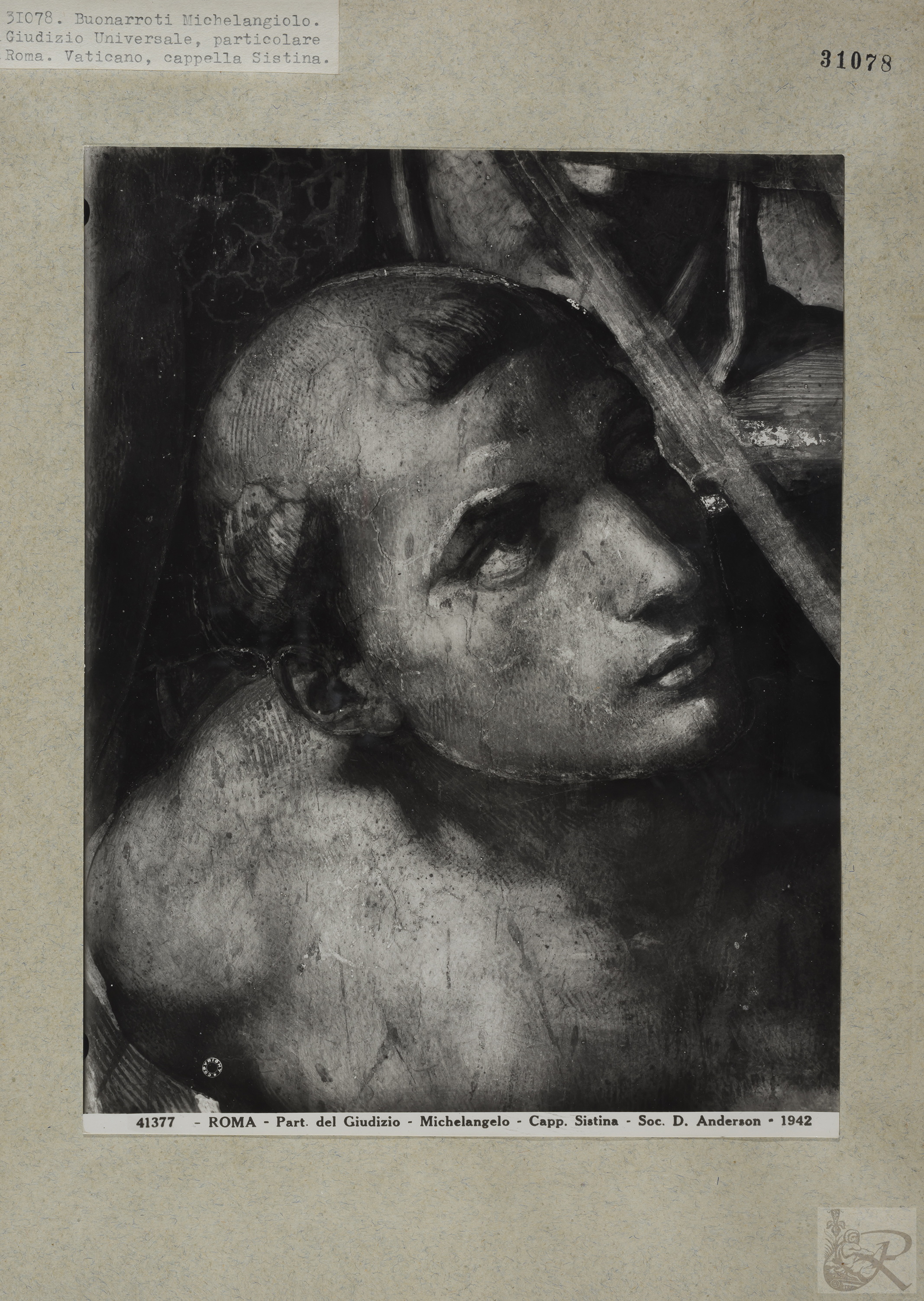 Immagine di anteprima