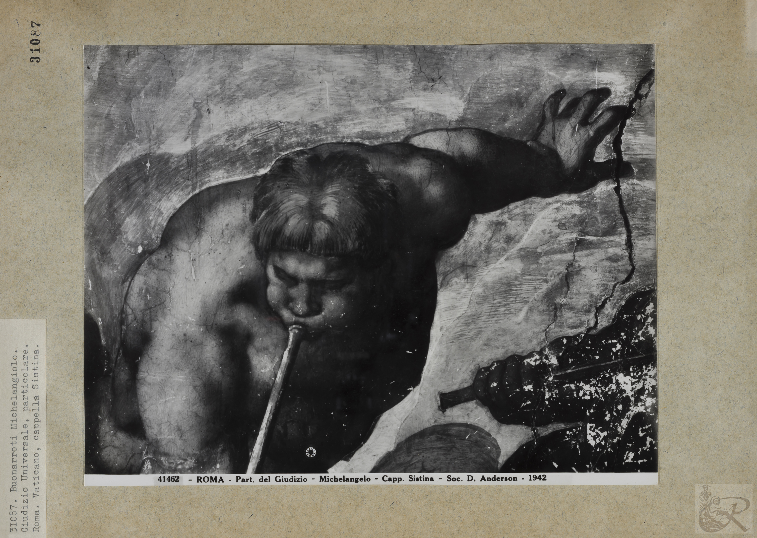 Immagine di anteprima