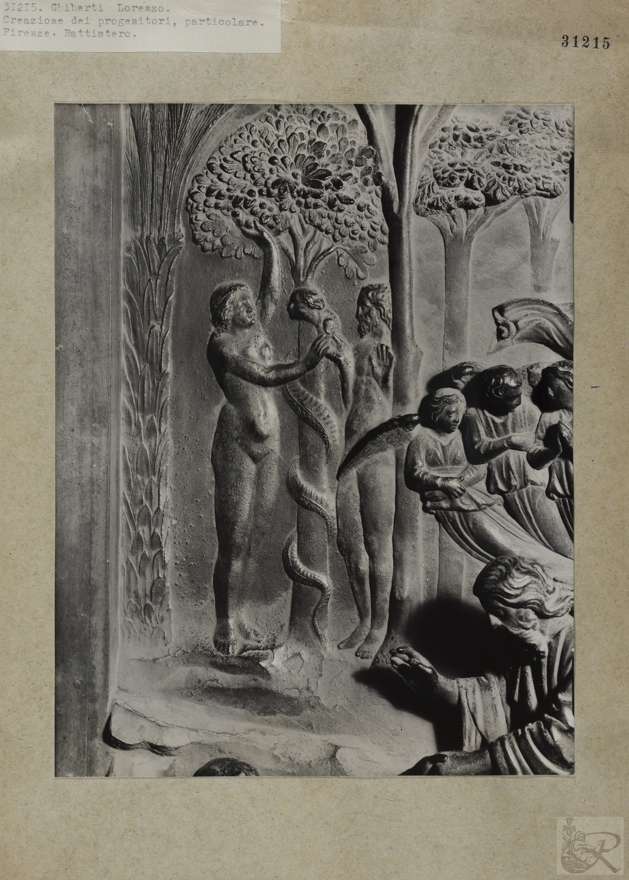 Immagine di anteprima