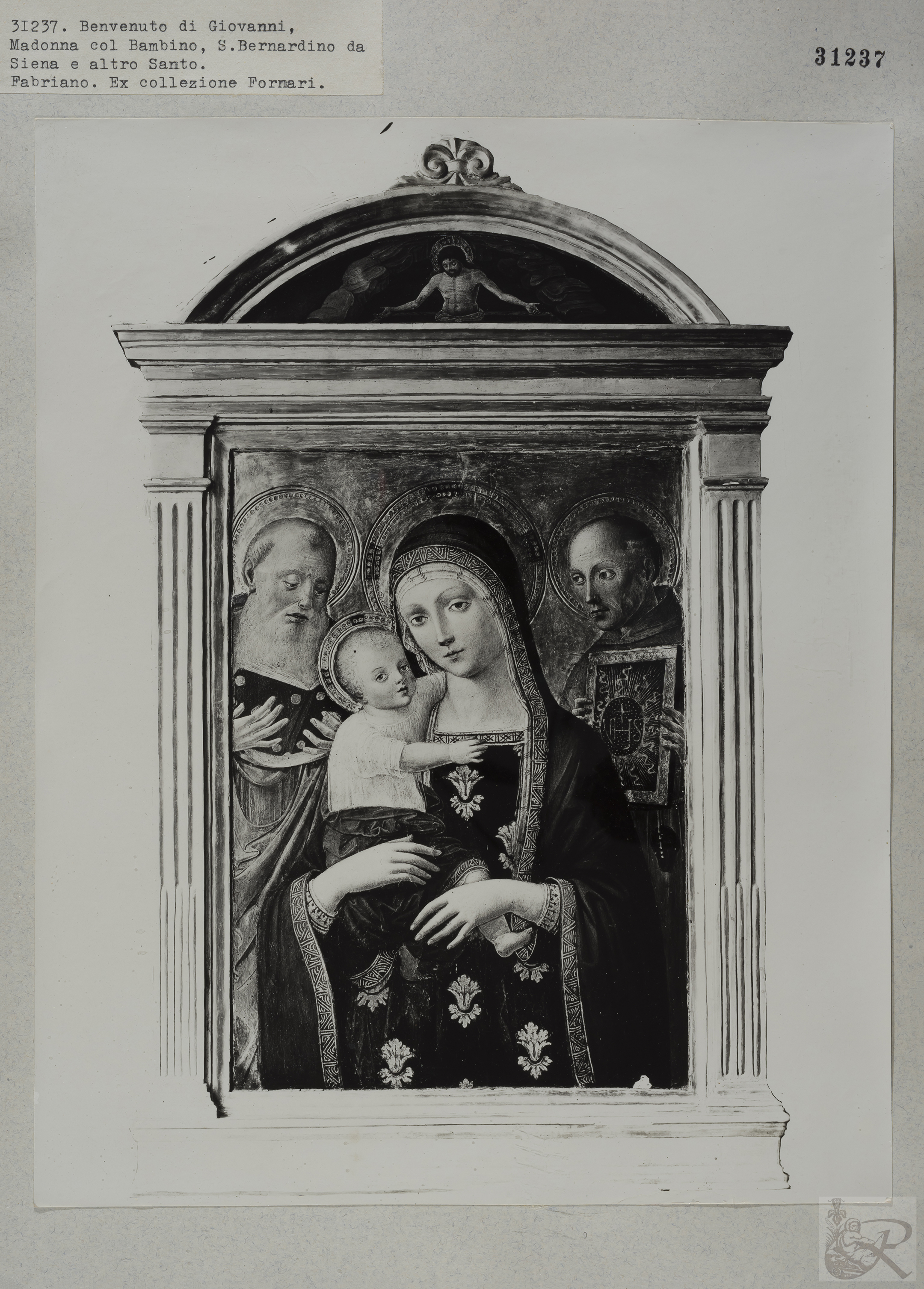 Immagine di anteprima