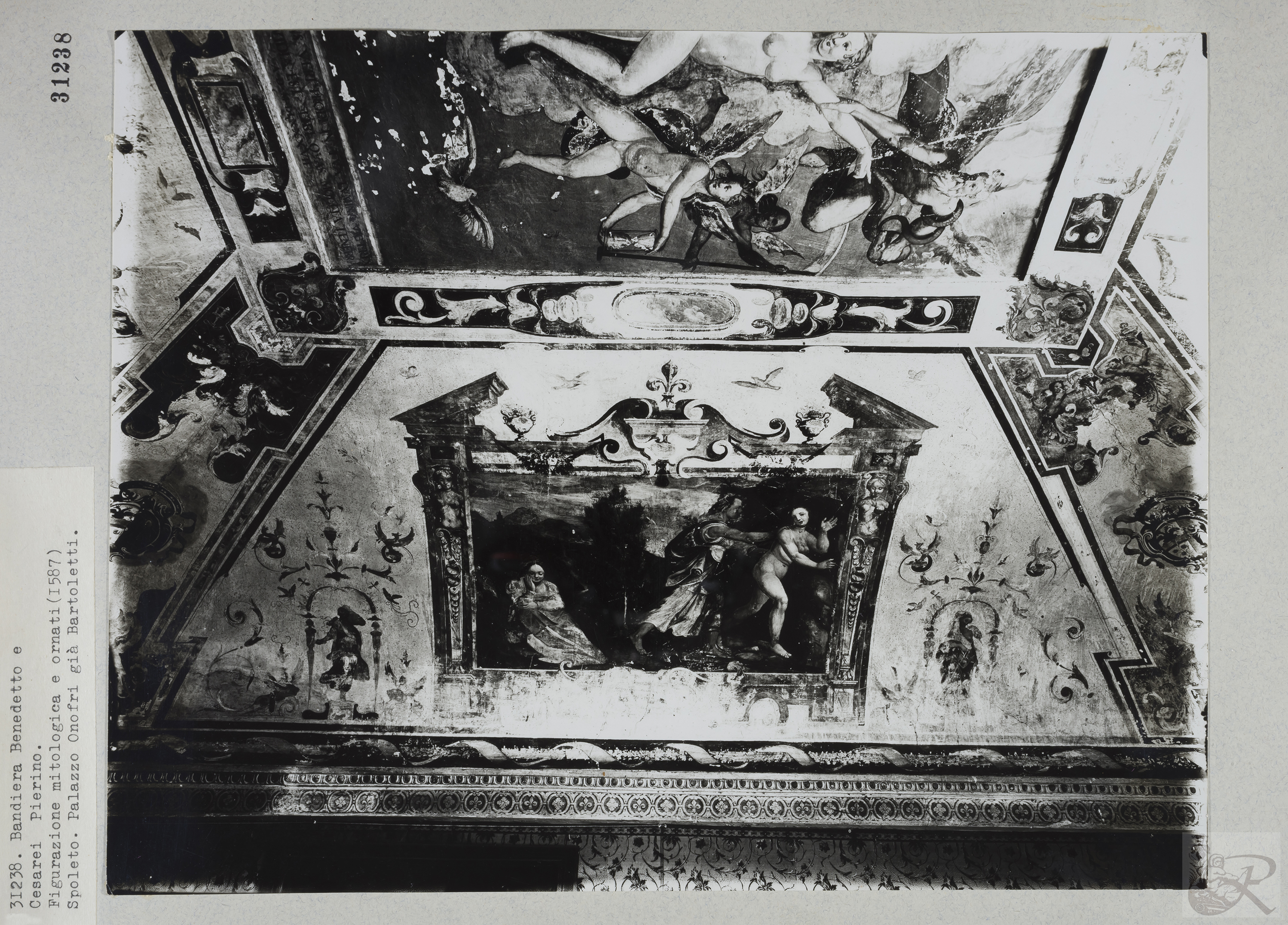 Immagine di anteprima