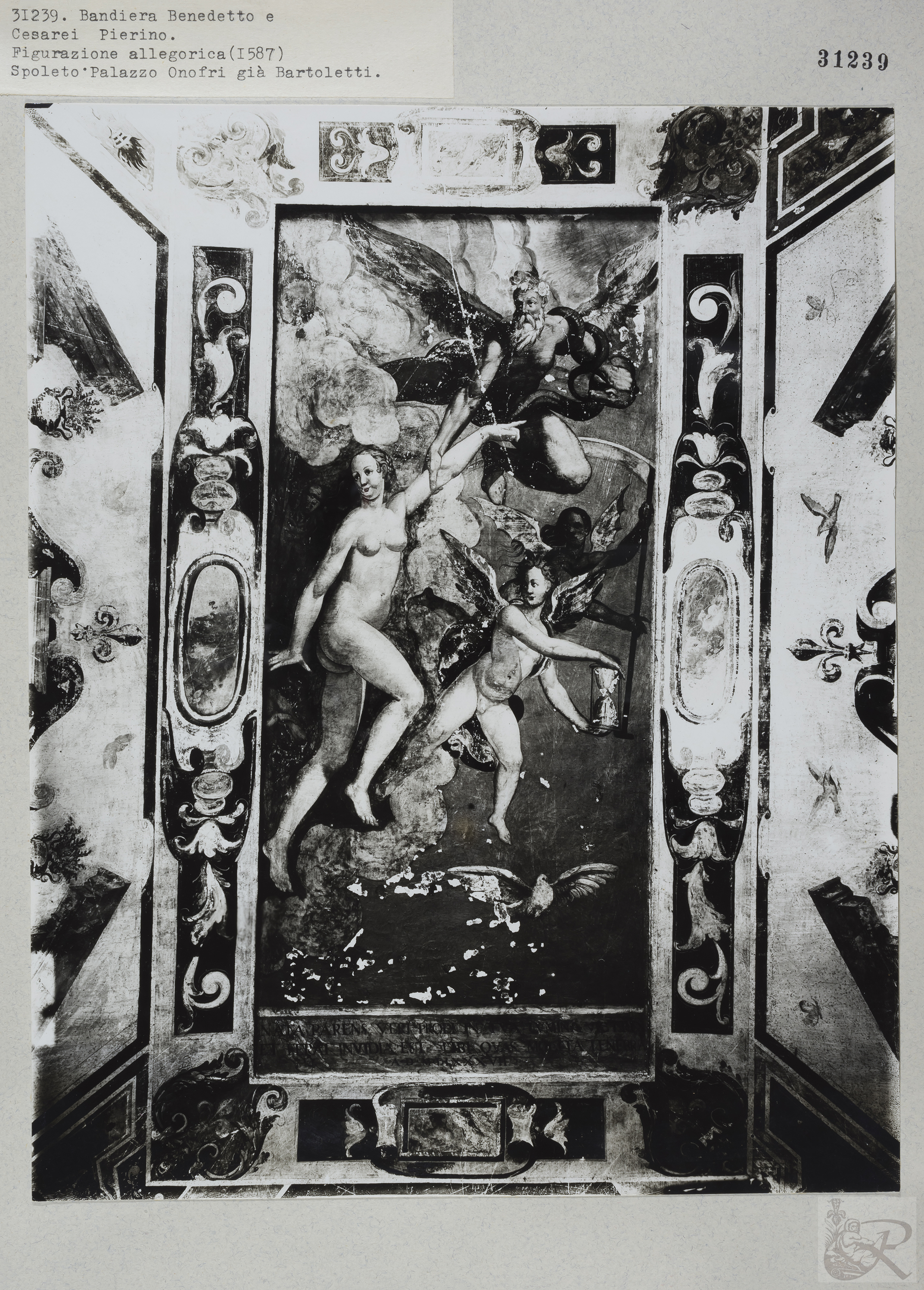 Immagine di anteprima