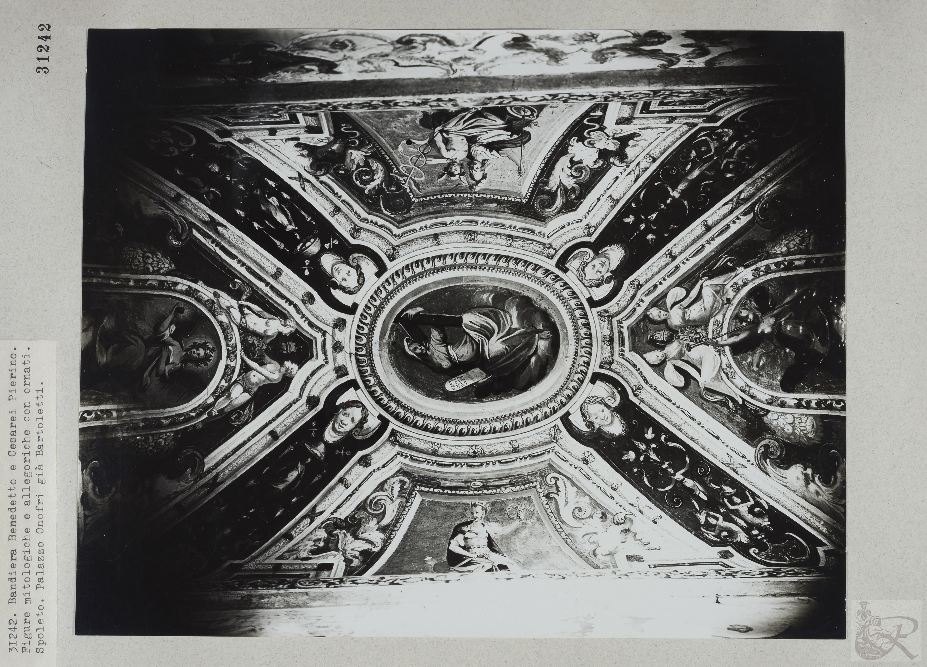 Immagine di anteprima