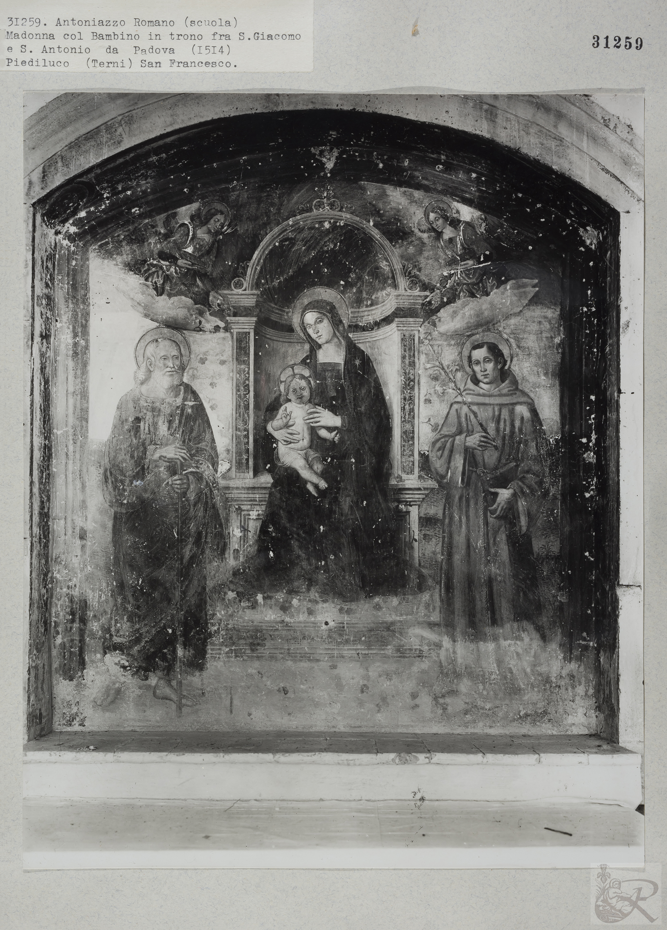 Immagine di anteprima