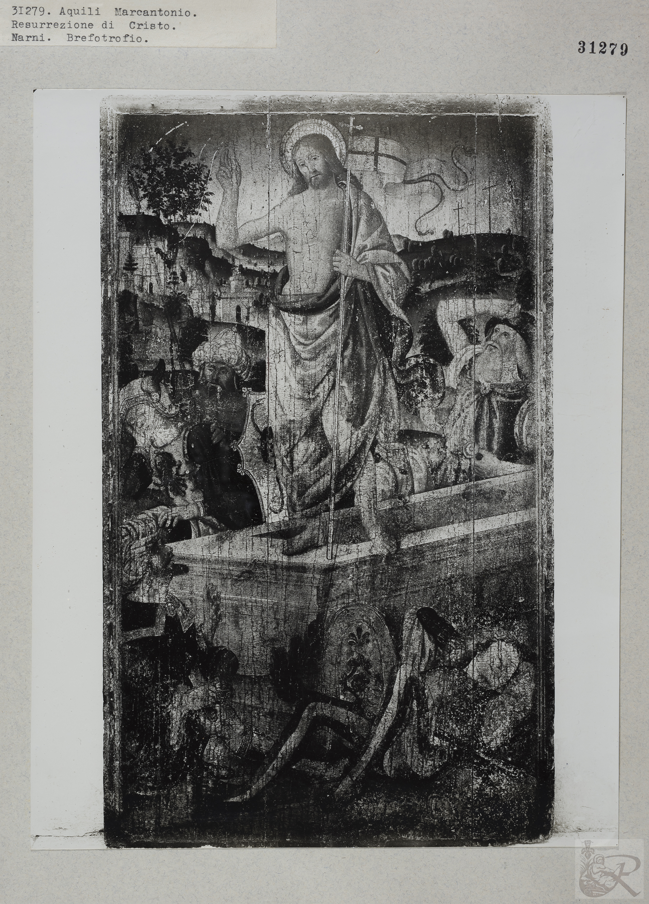 Immagine di anteprima