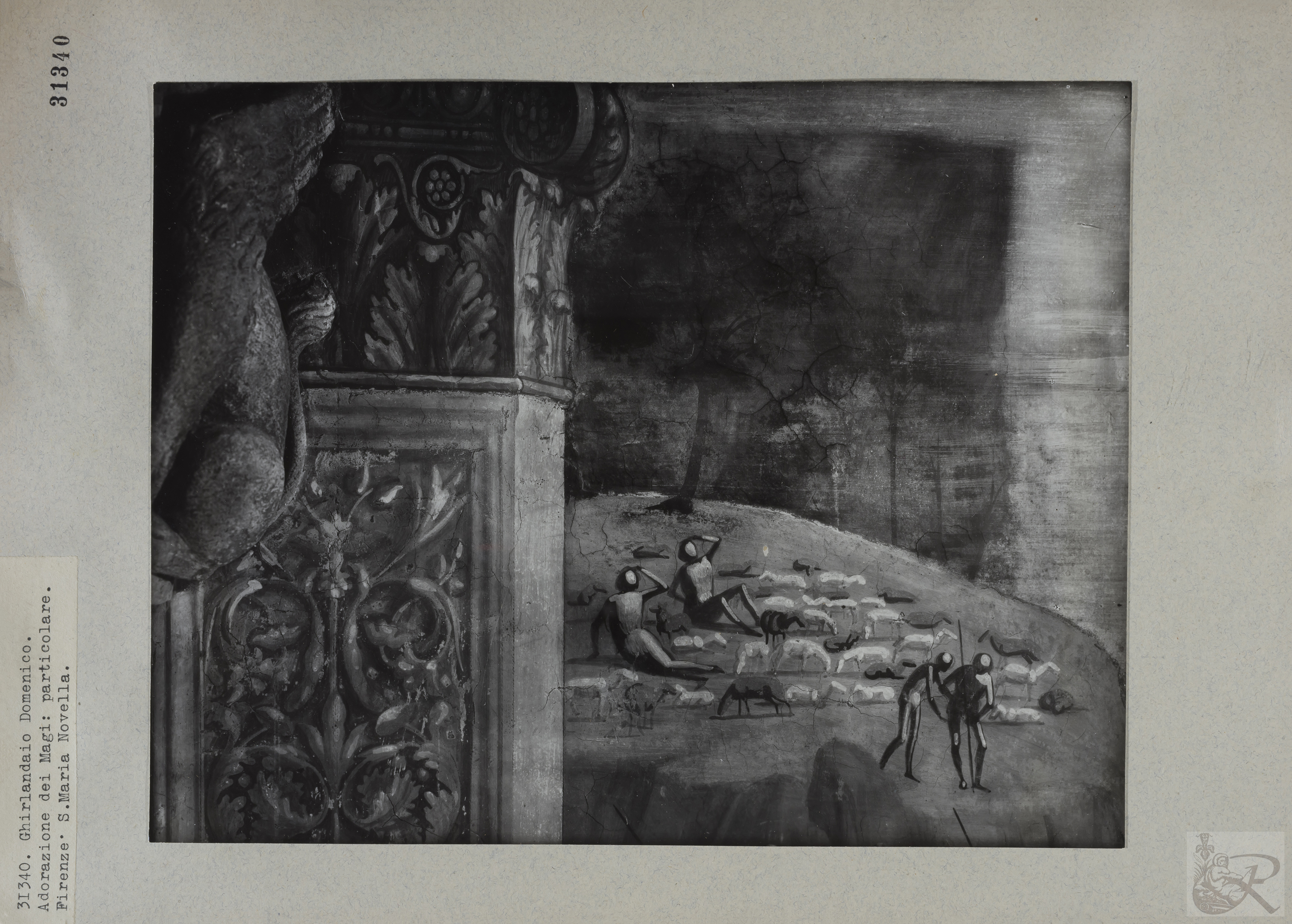 Immagine di anteprima