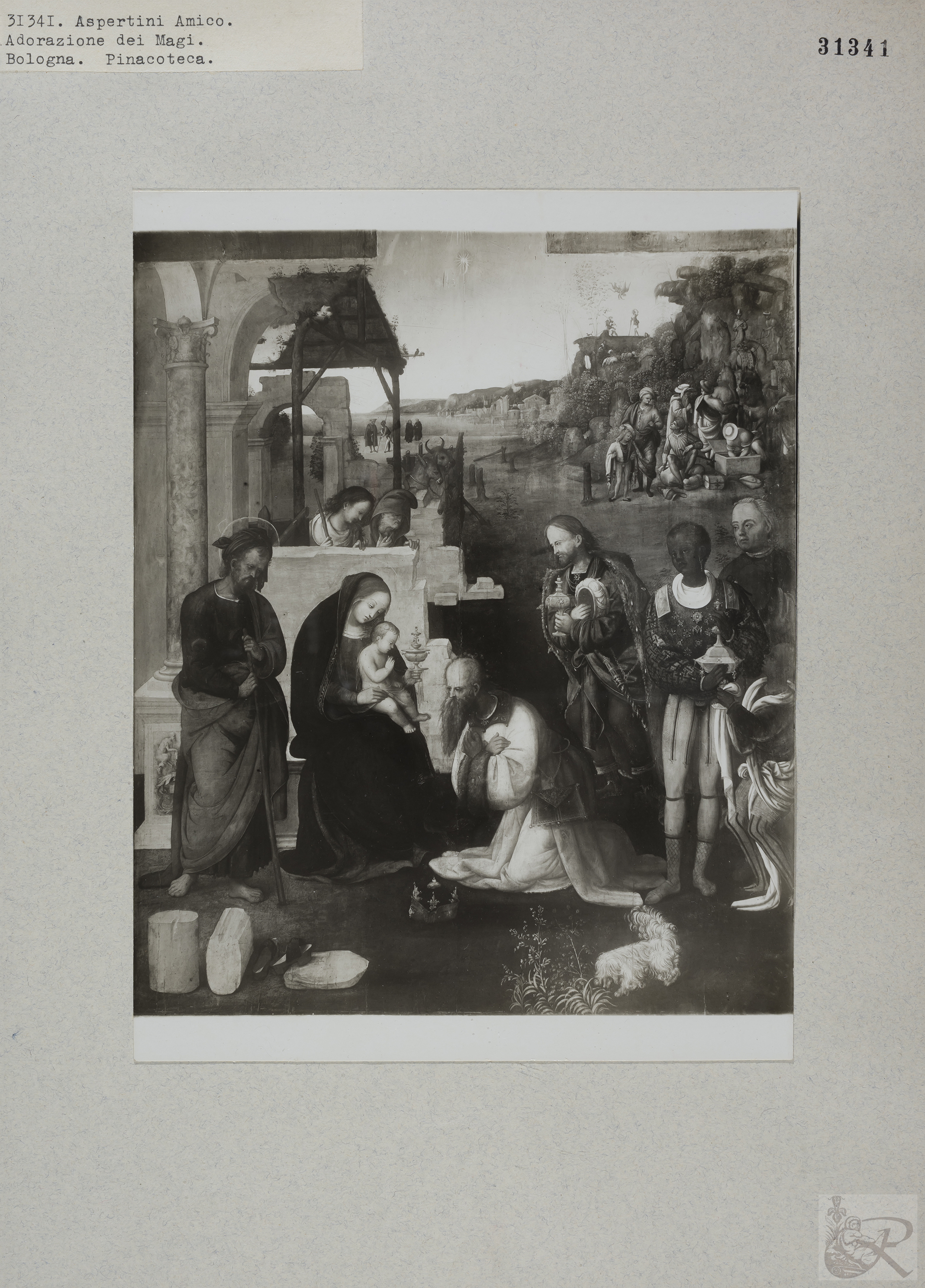 Immagine di anteprima