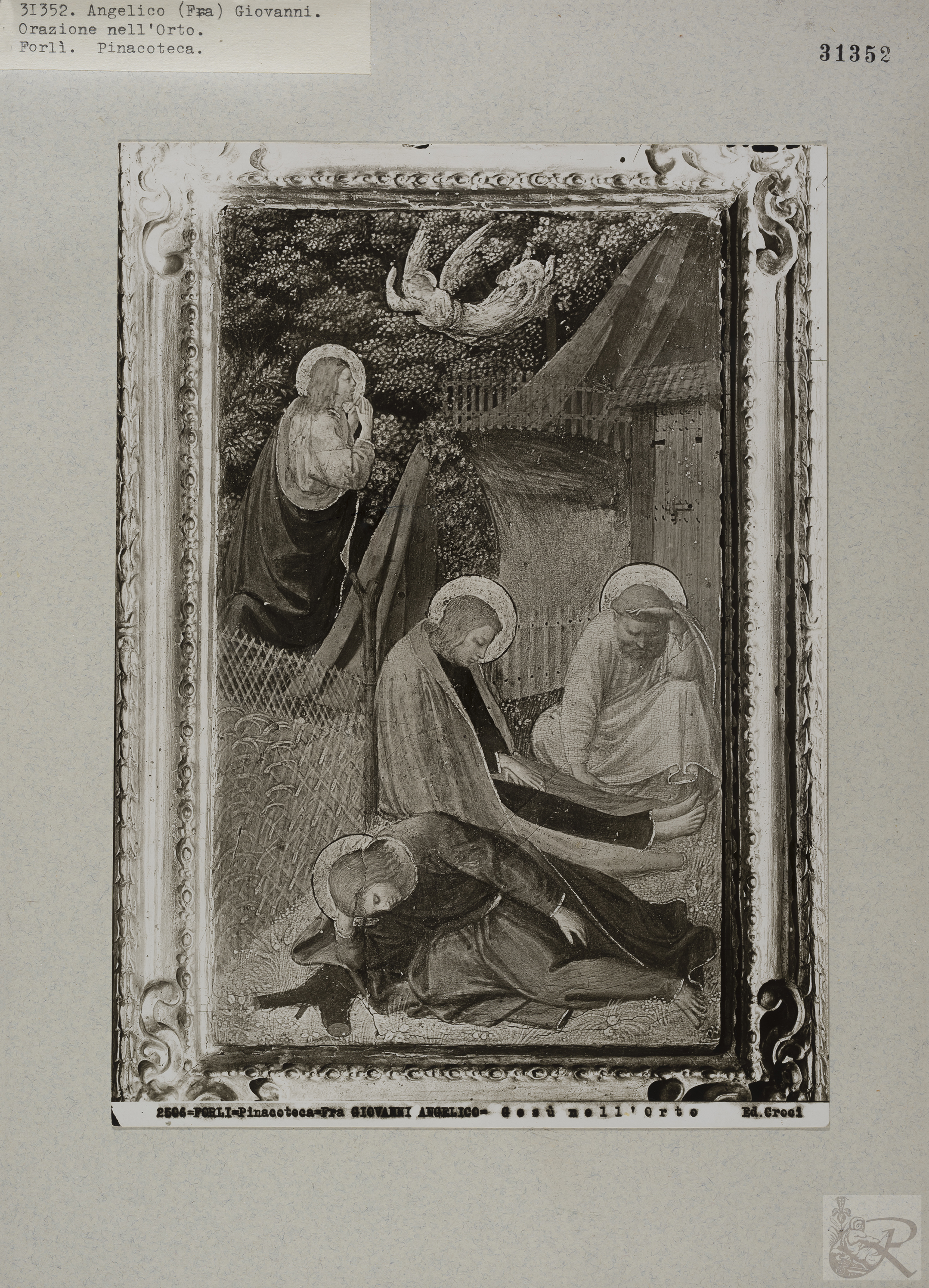 Immagine di anteprima