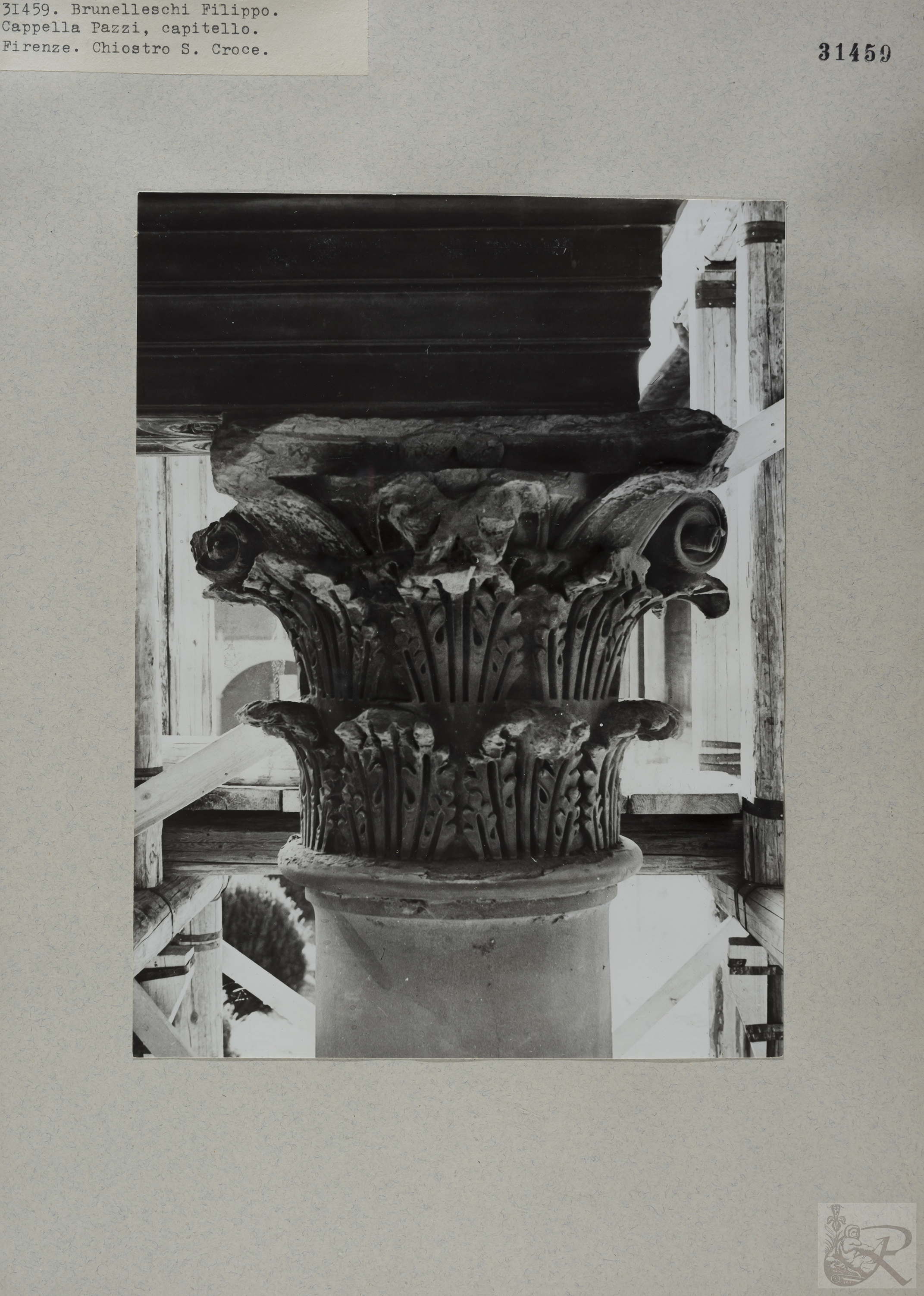 Immagine di anteprima