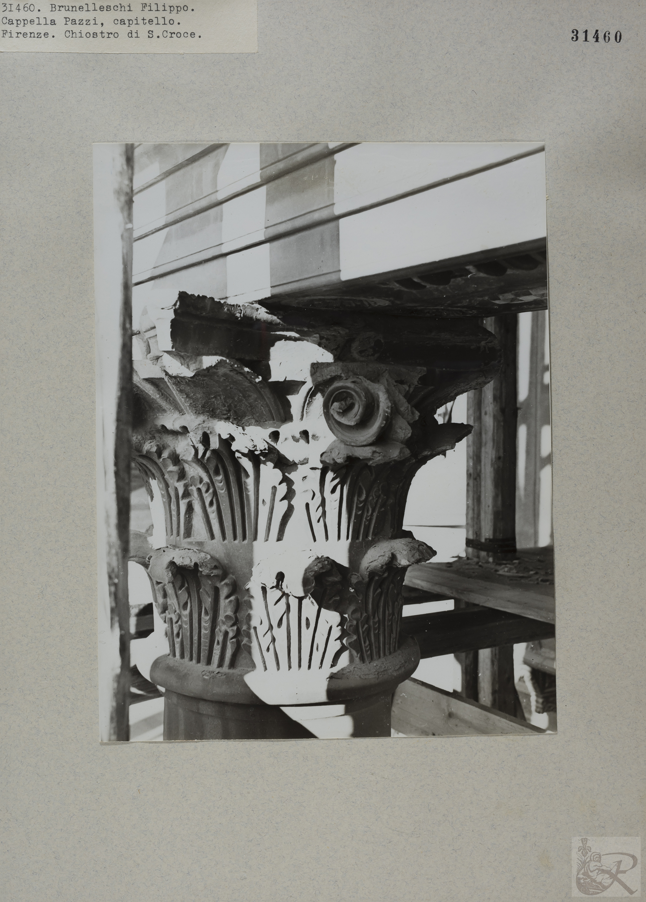 Immagine di anteprima