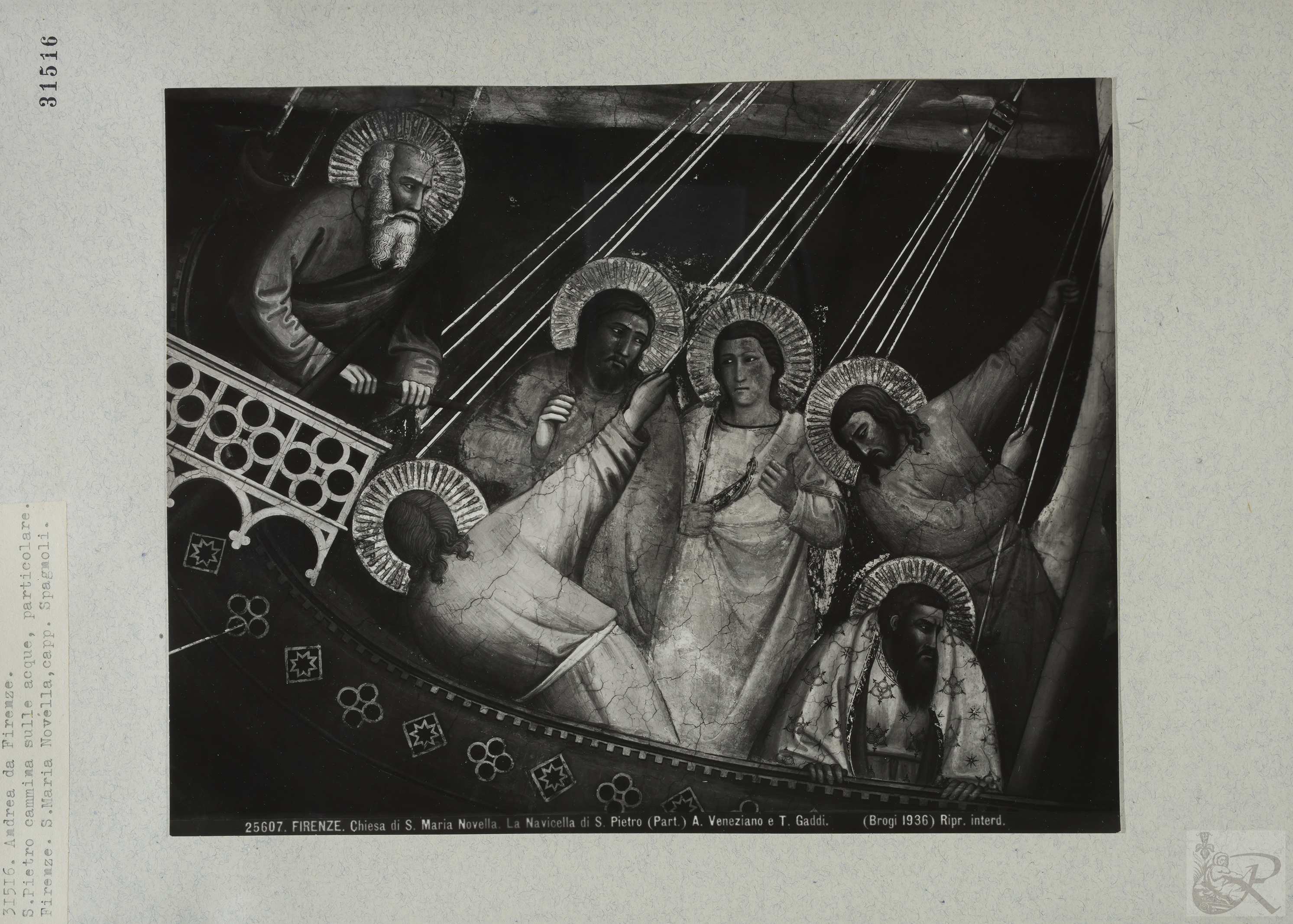 Immagine di anteprima