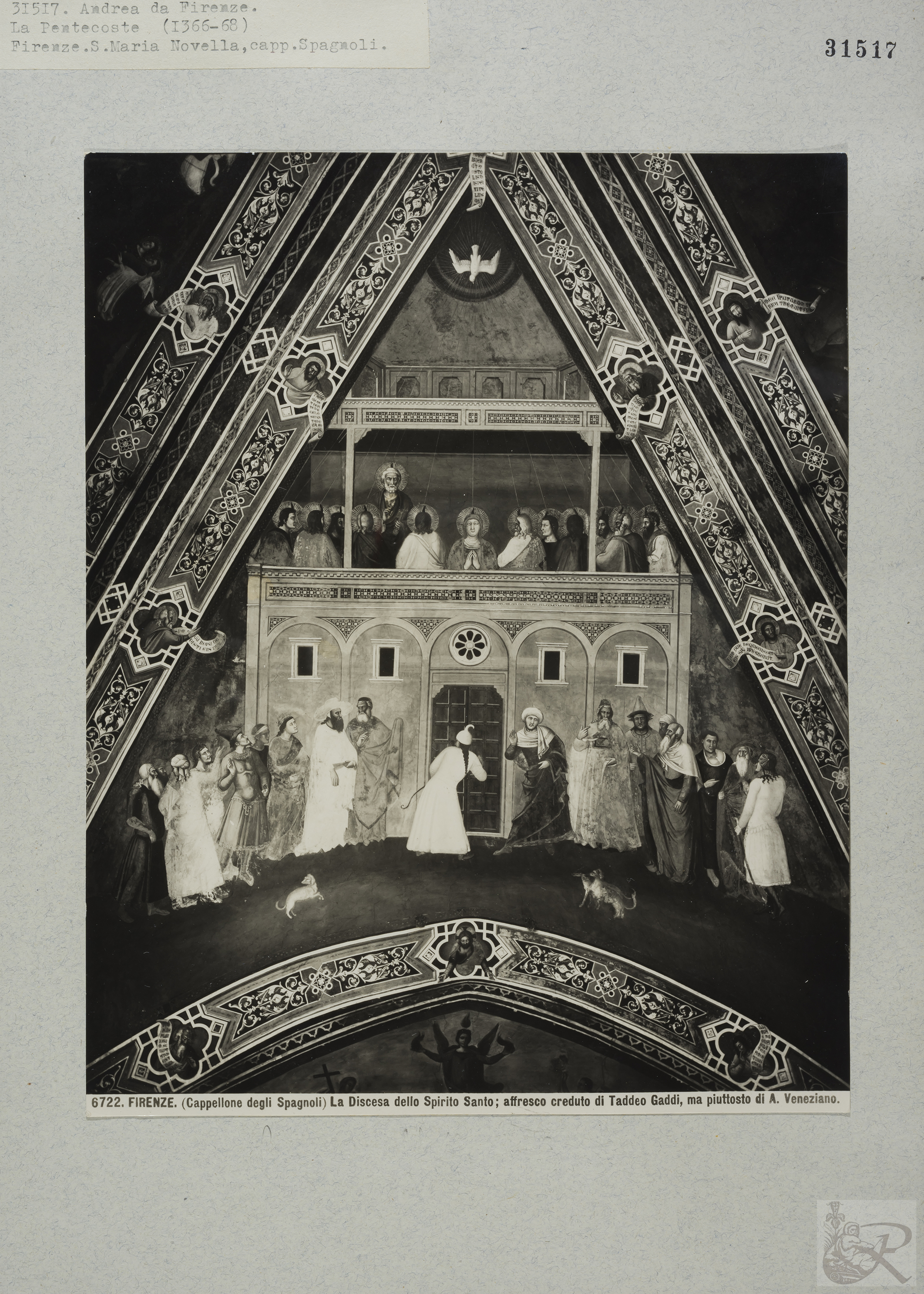 Immagine di anteprima