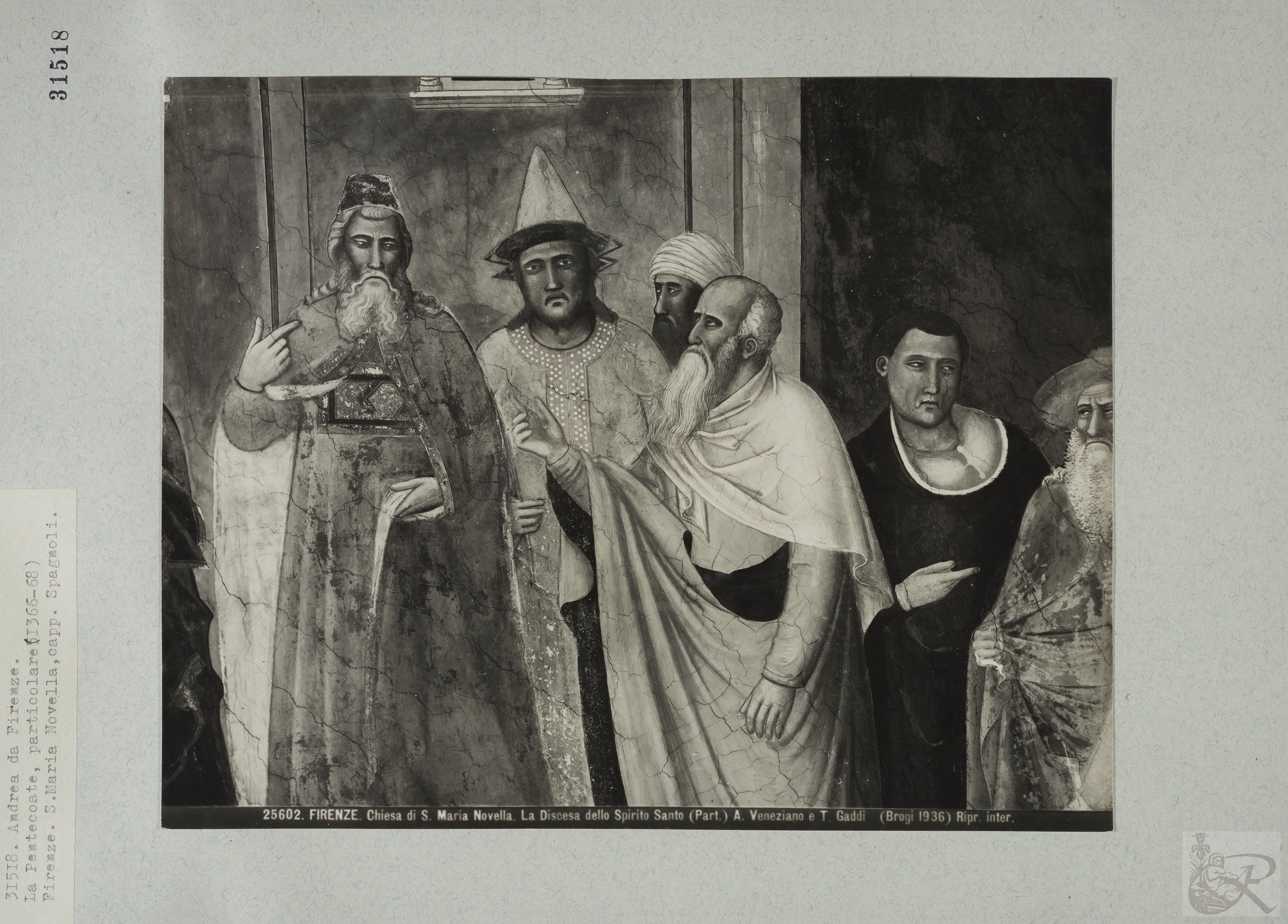 Immagine di anteprima