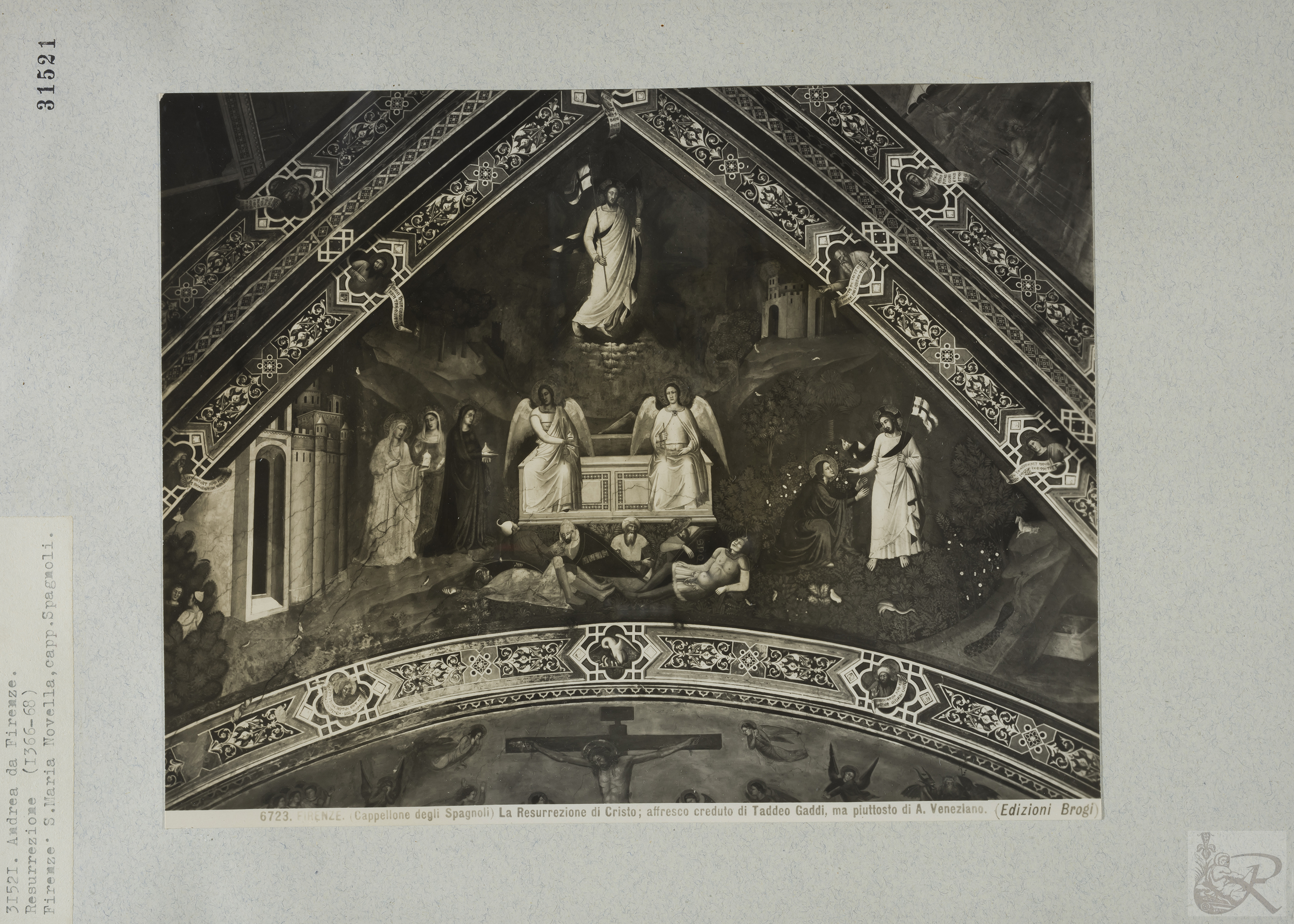 Immagine di anteprima