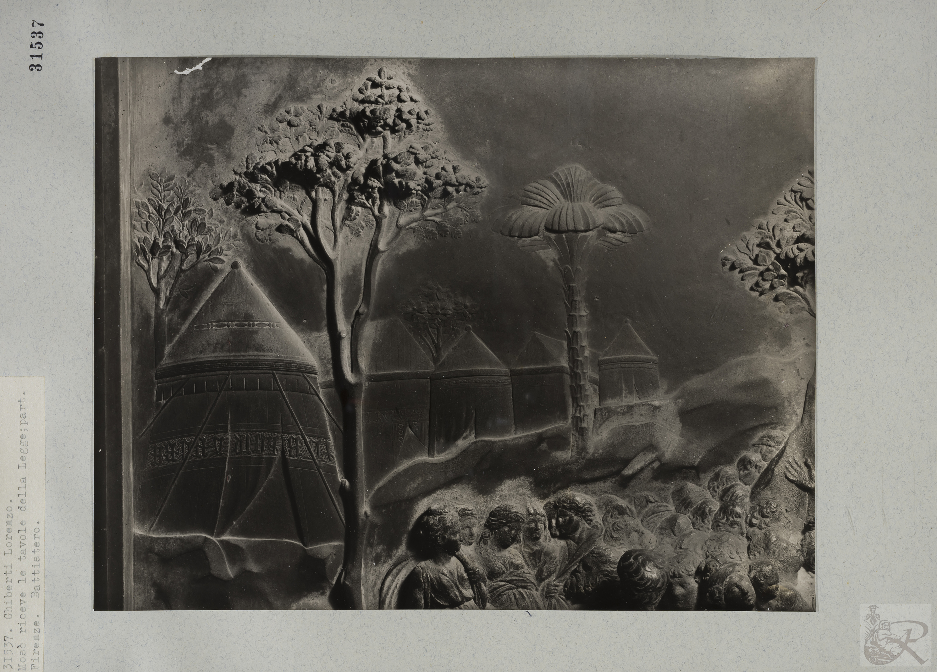 Immagine di anteprima