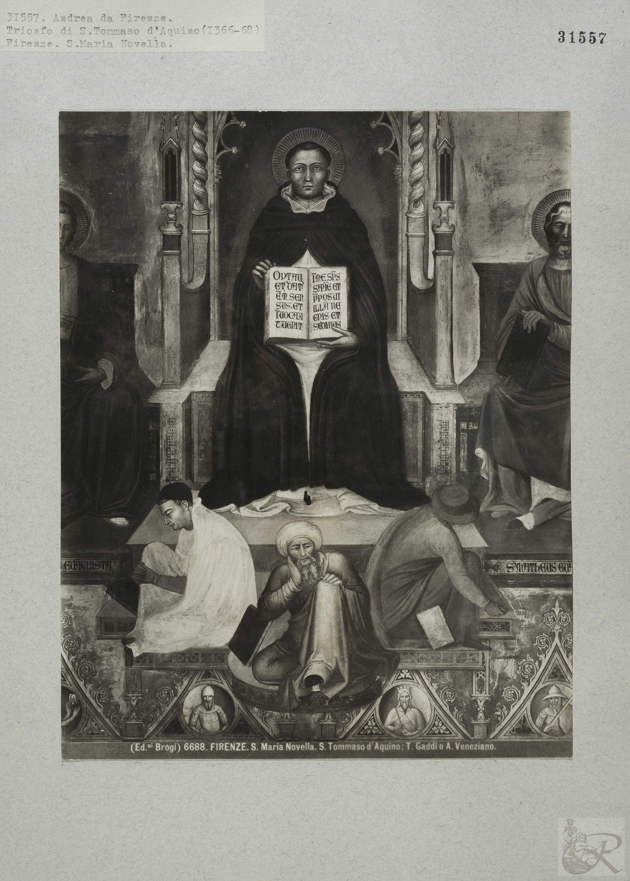 Immagine di anteprima