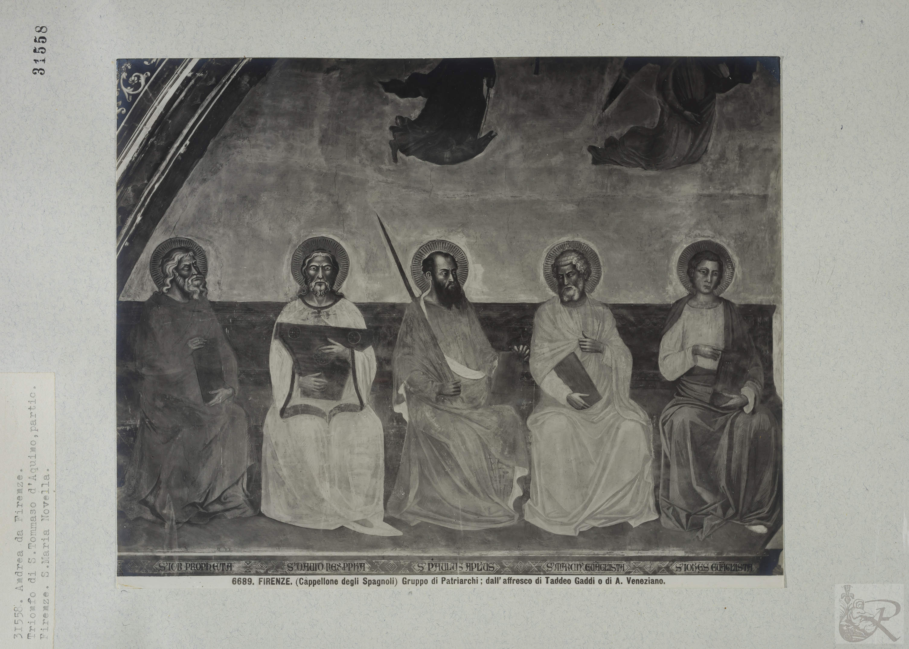 Immagine di anteprima