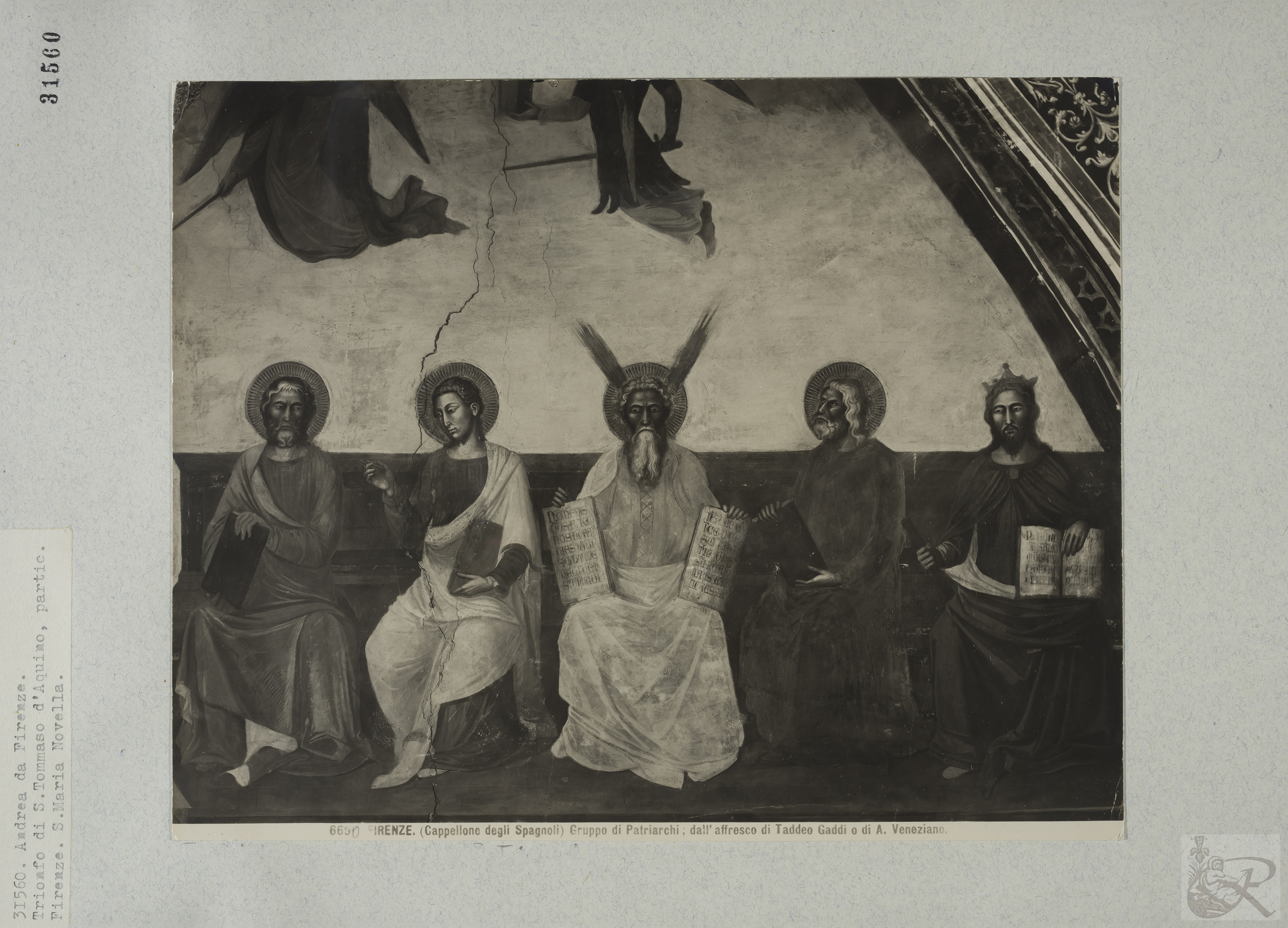 Immagine di anteprima