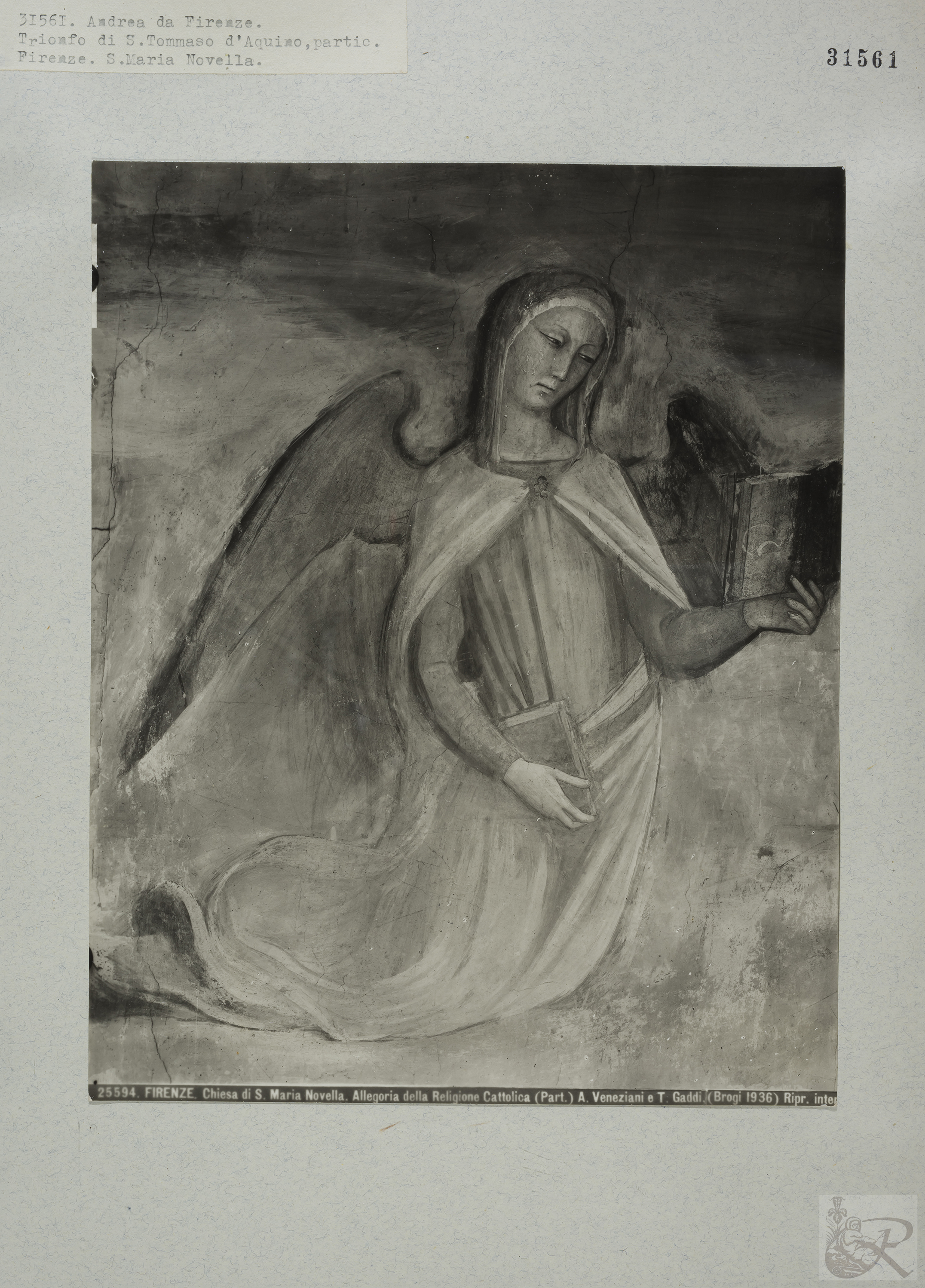 Immagine di anteprima