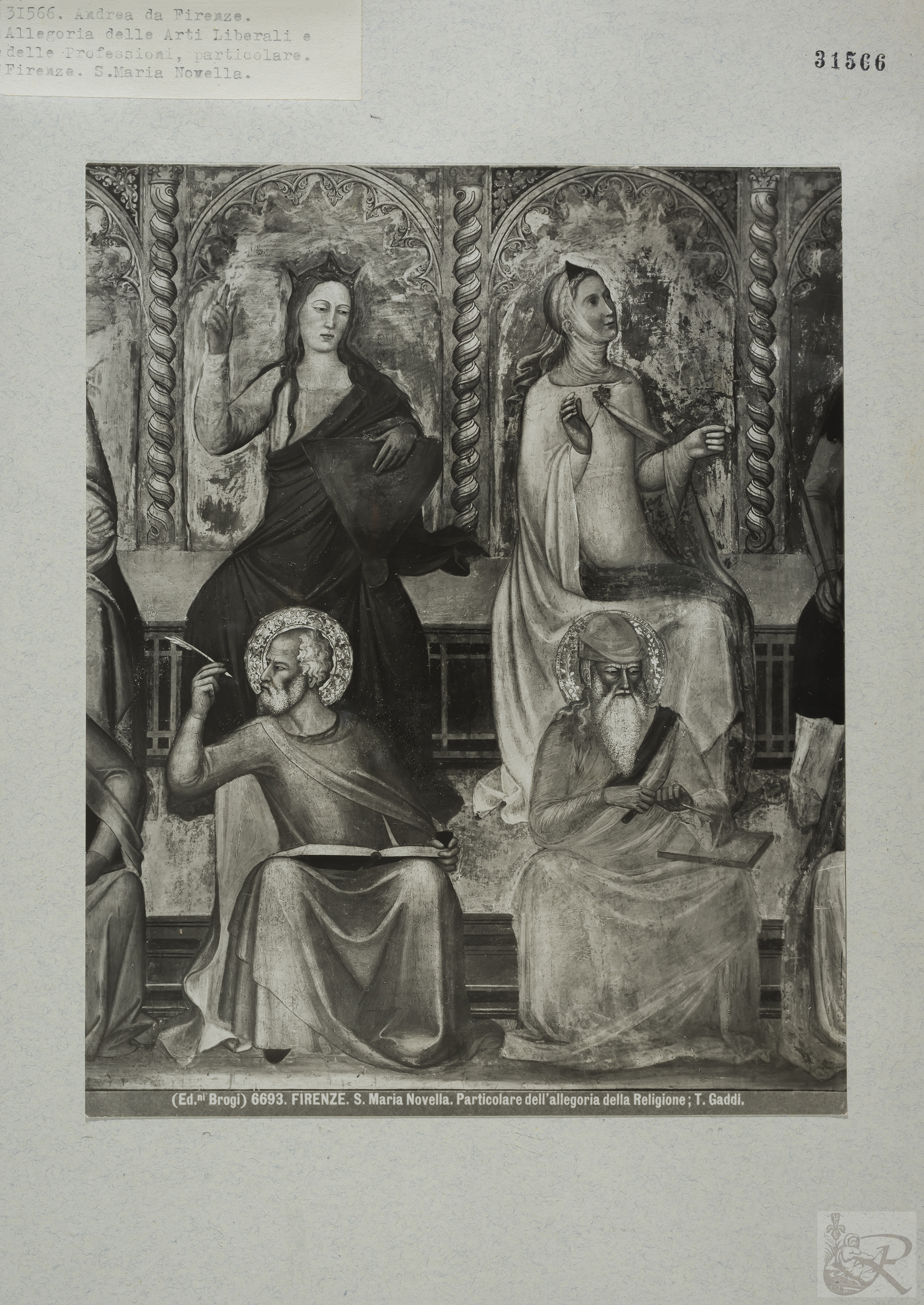 Immagine di anteprima