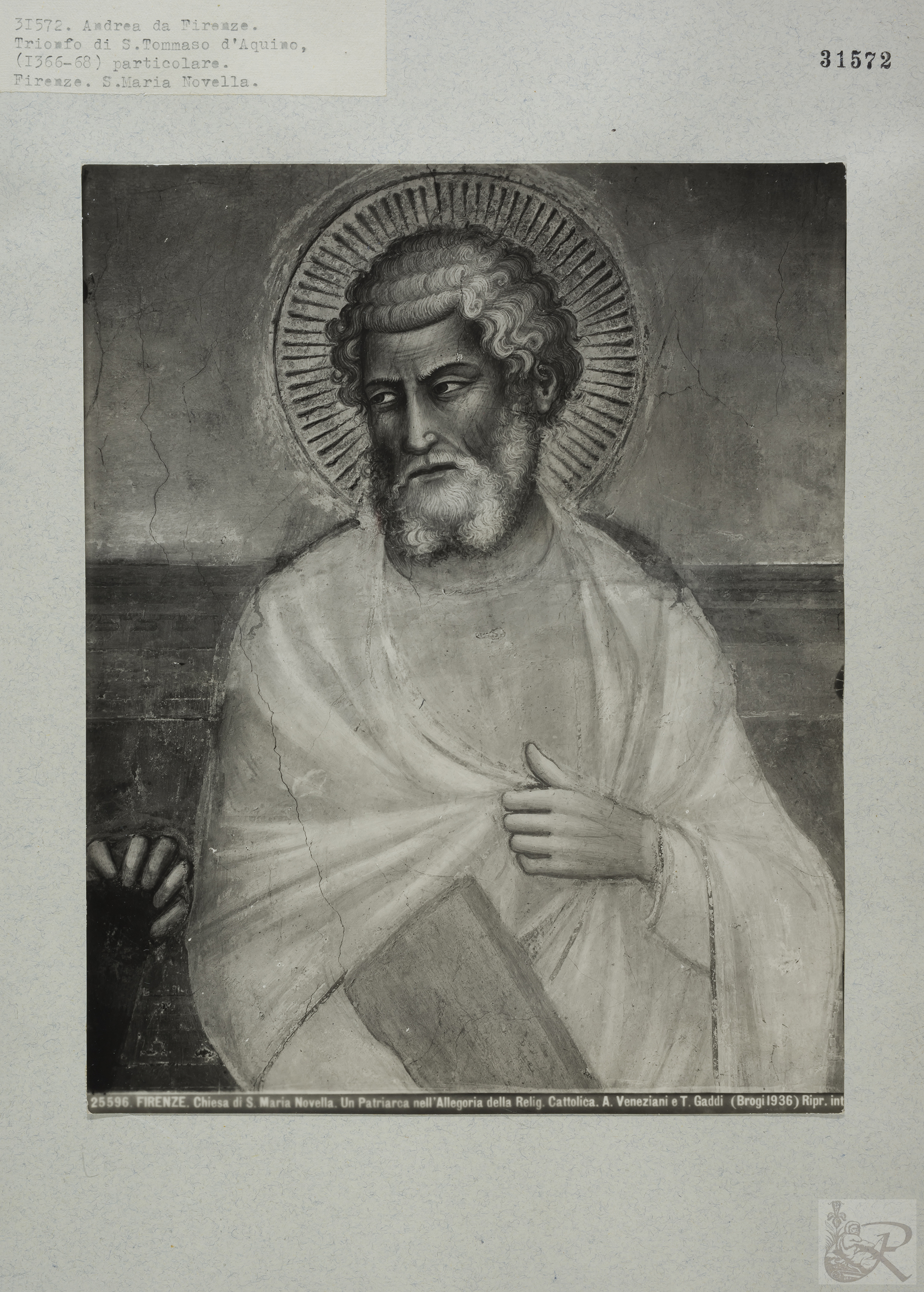 Immagine di anteprima