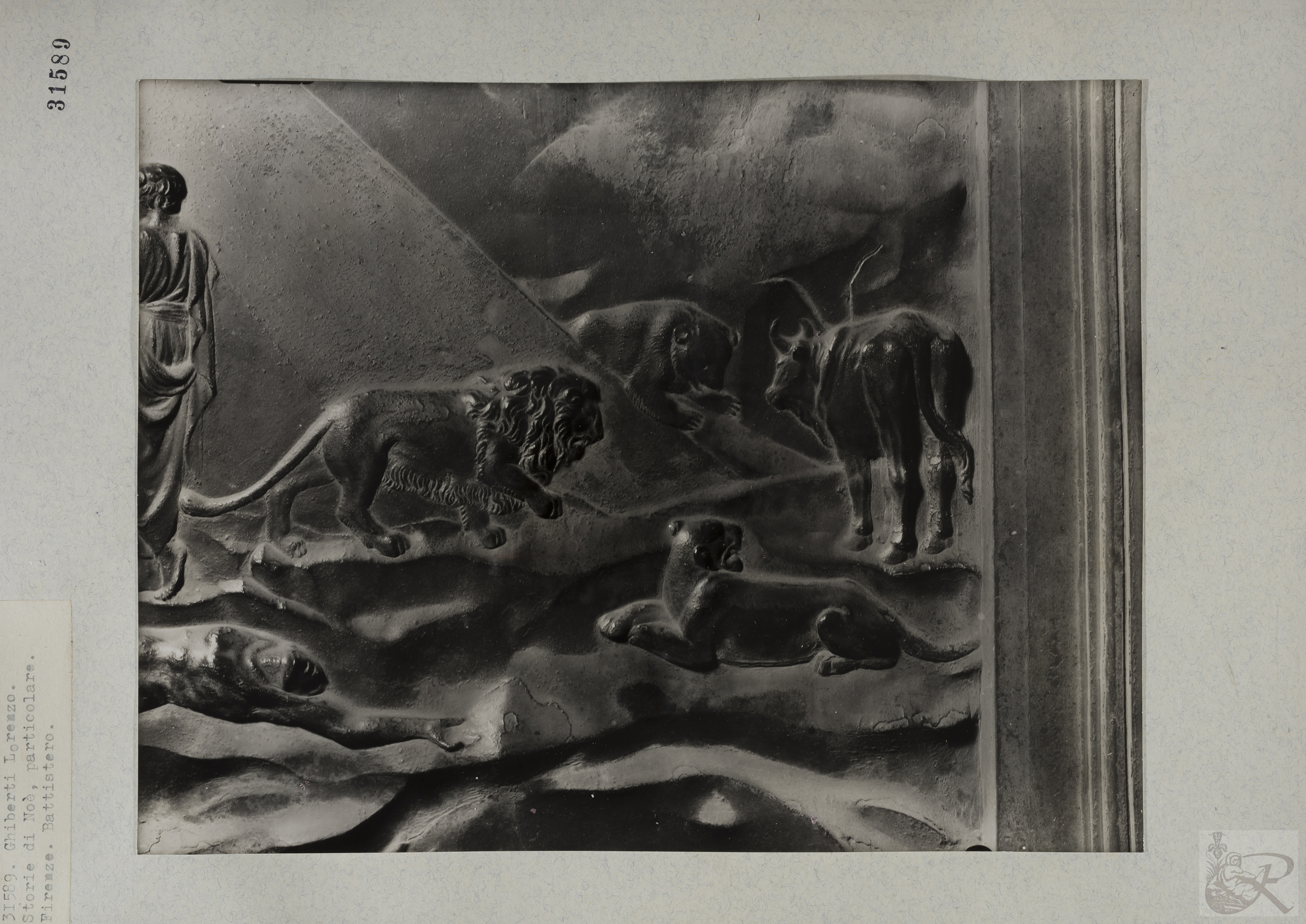 Immagine di anteprima